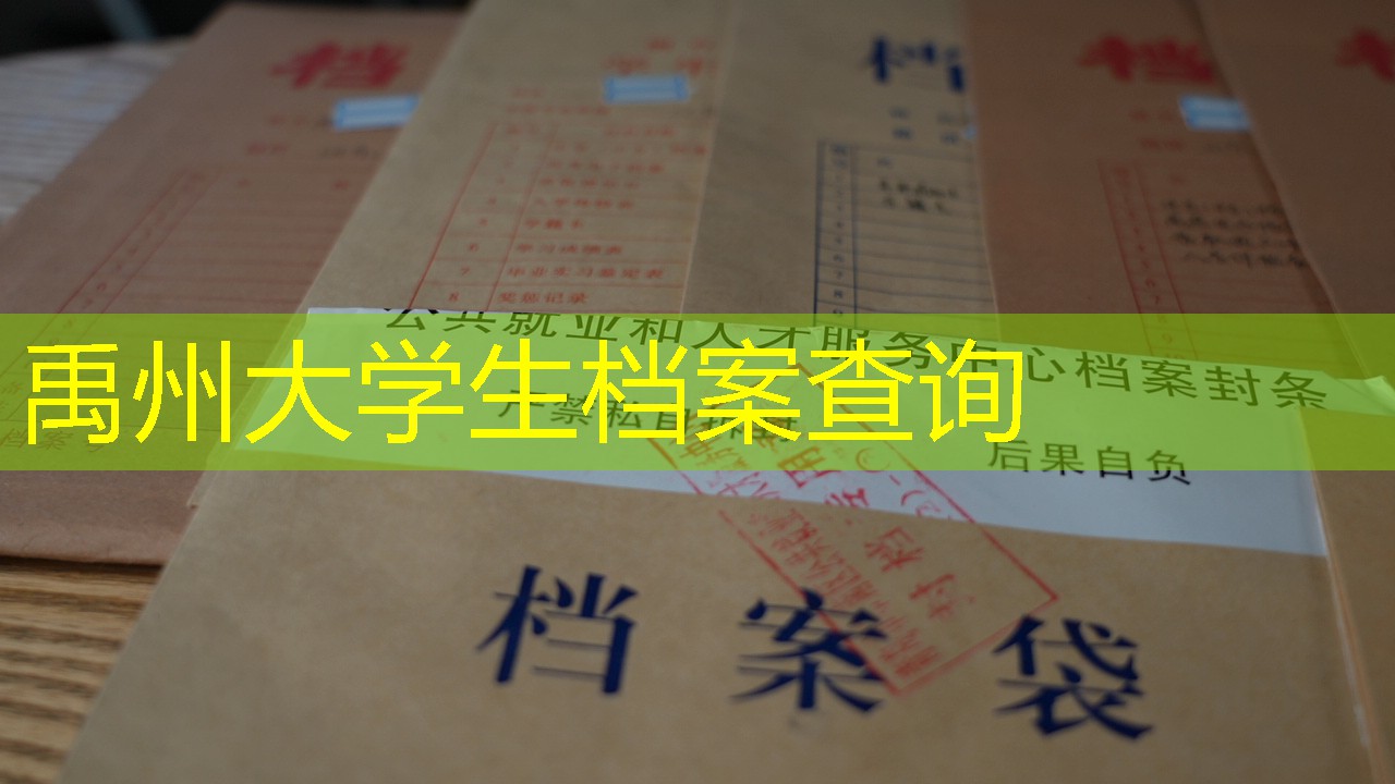 档案查询