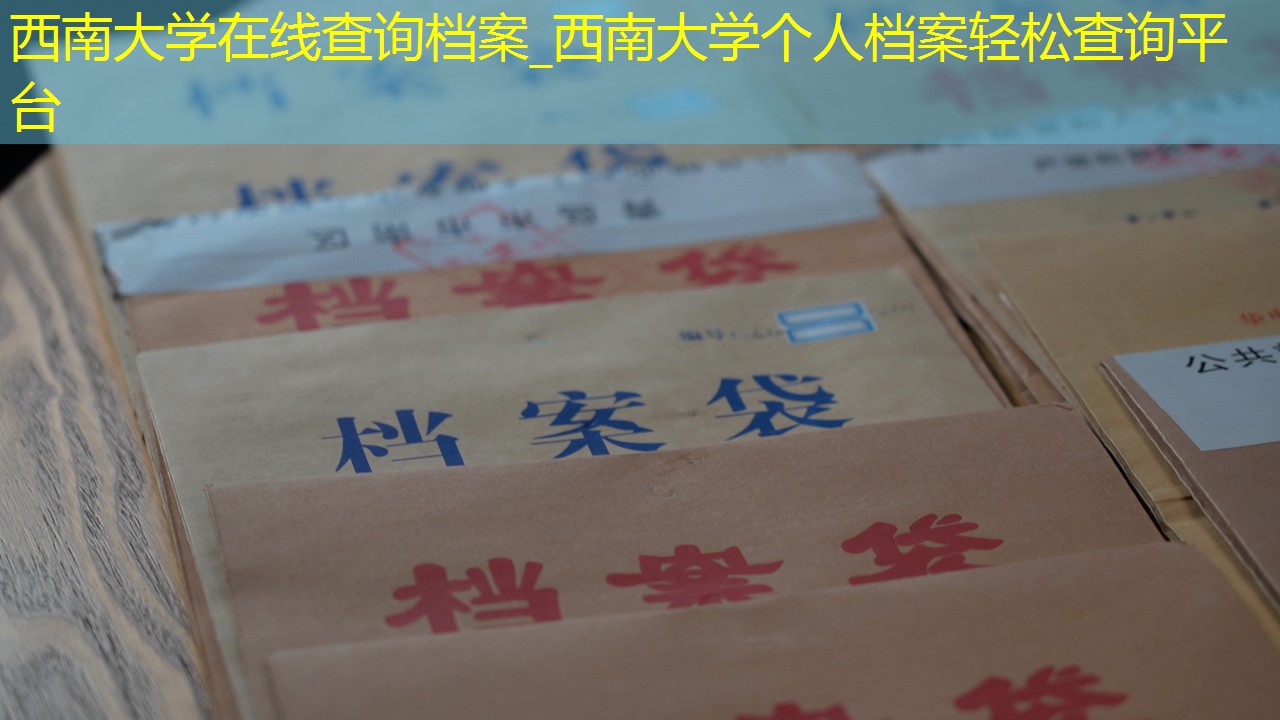 档案查询