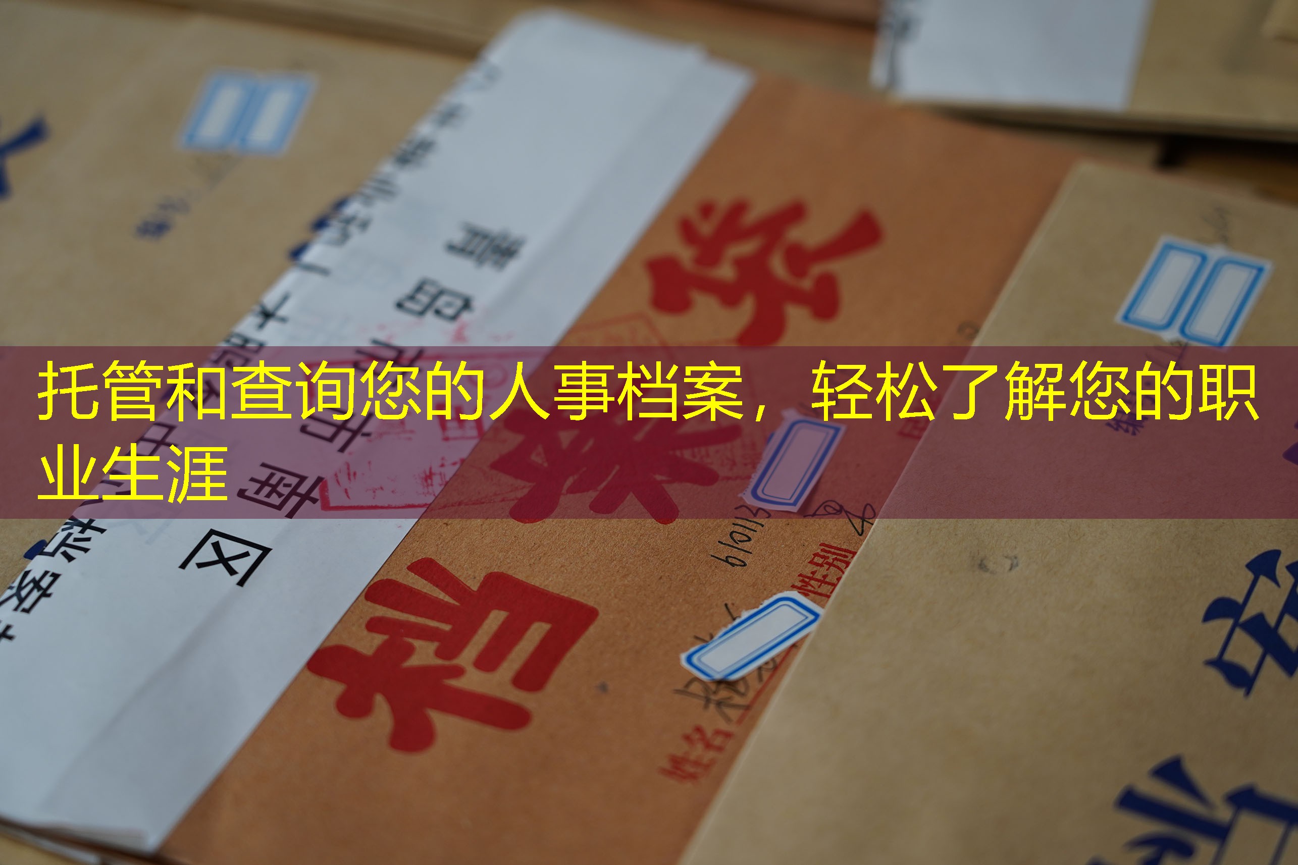 档案查询