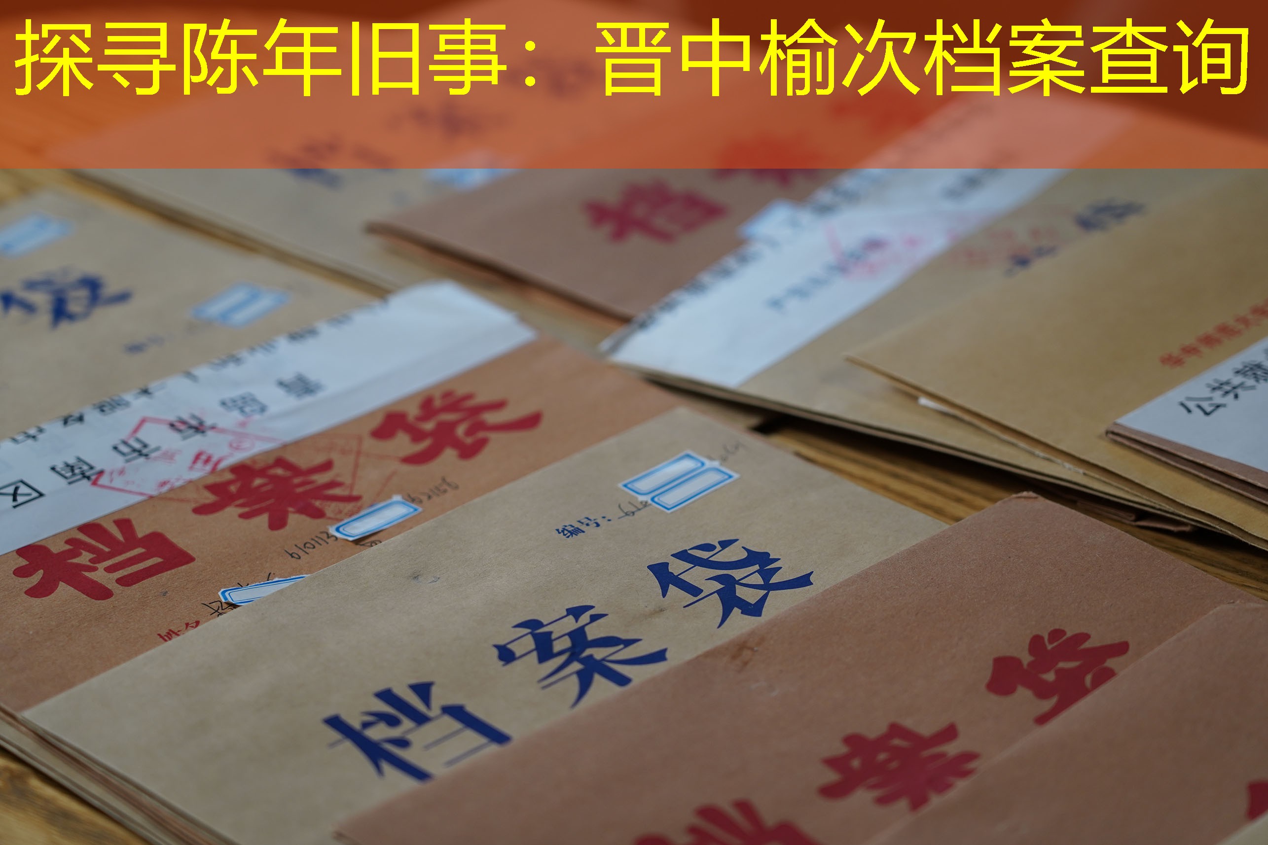 档案查询