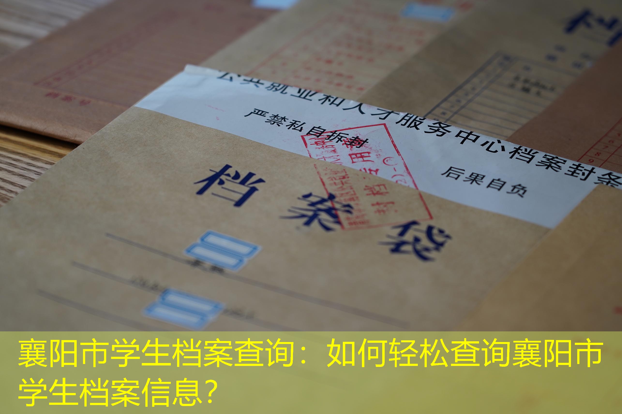 档案查询