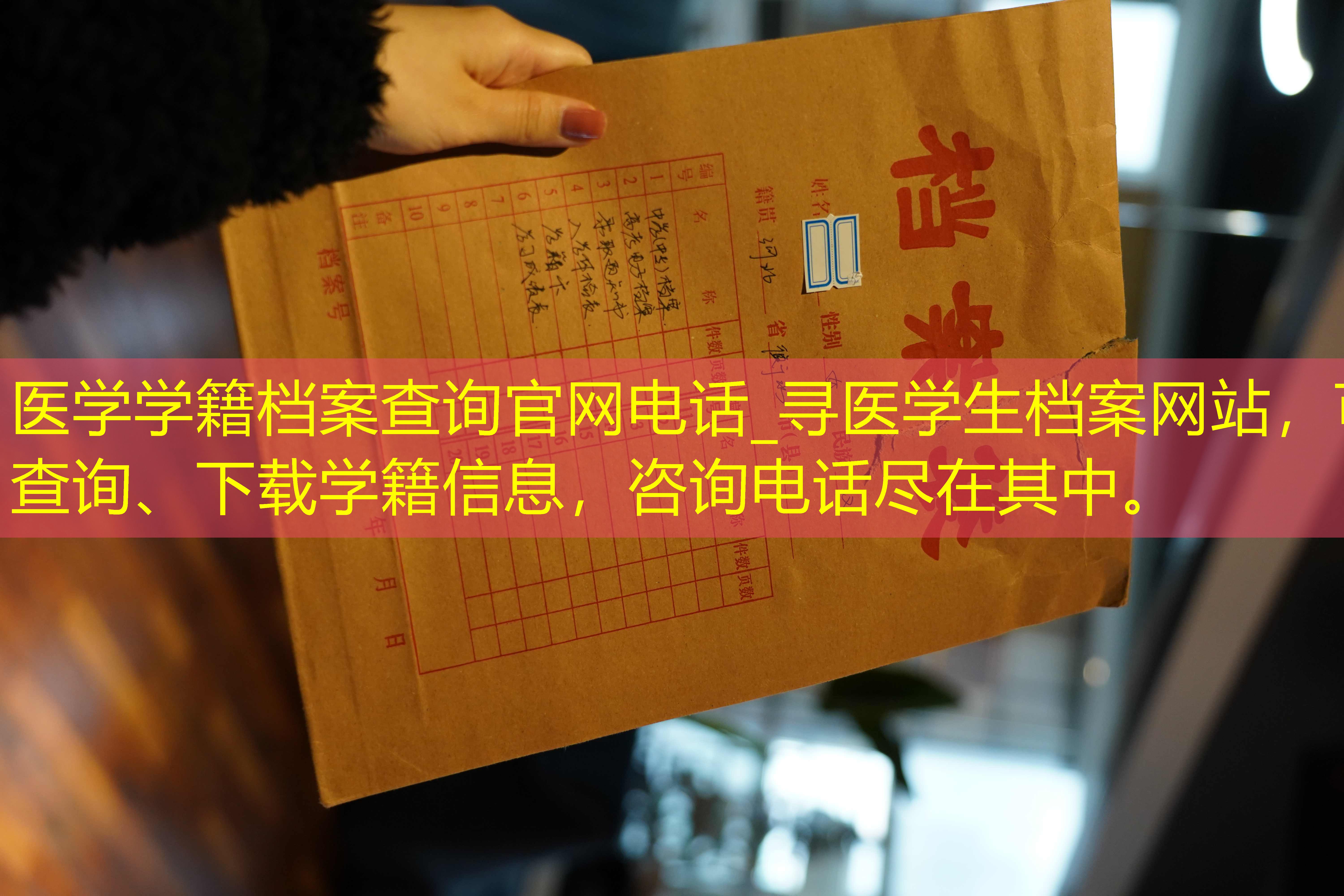 档案查询