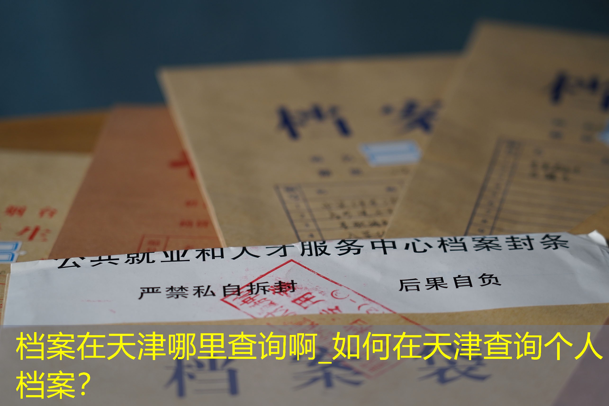 档案查询