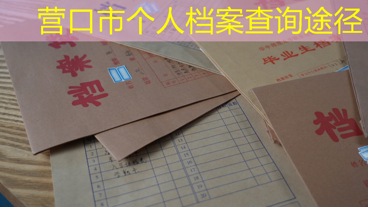档案查询
