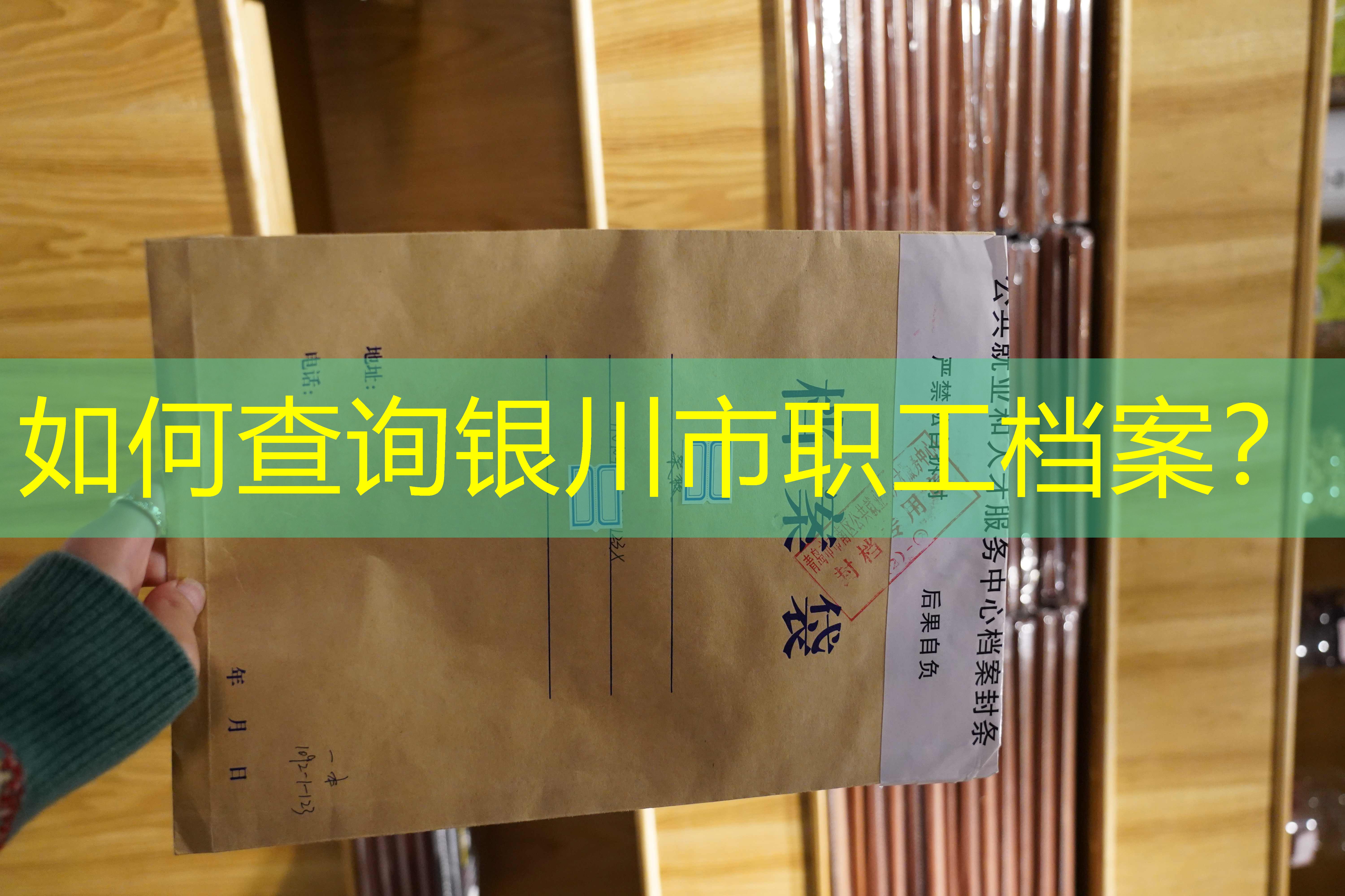 档案查询