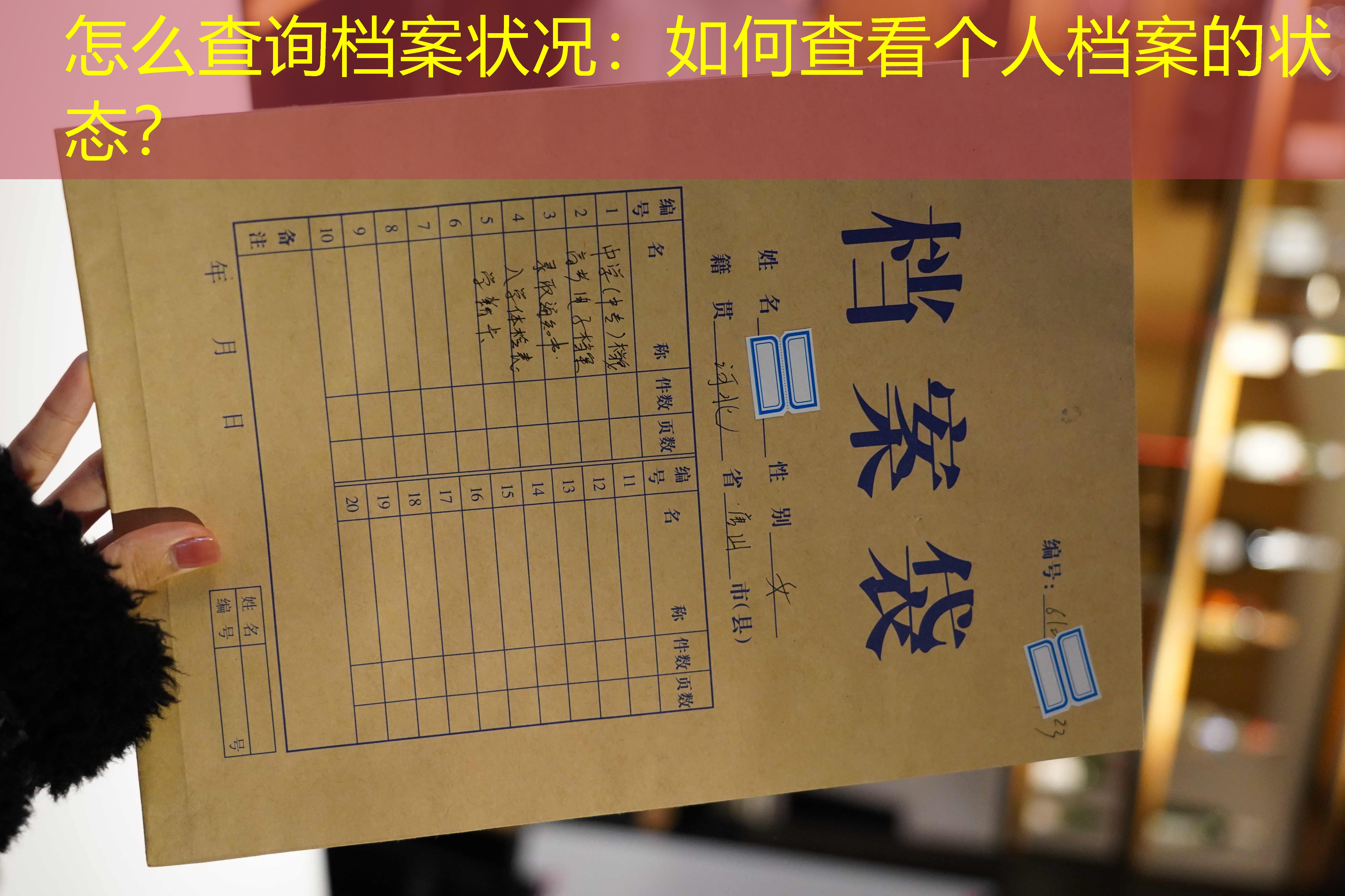 档案查询