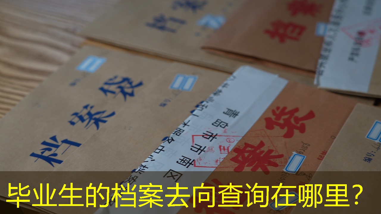 档案查询