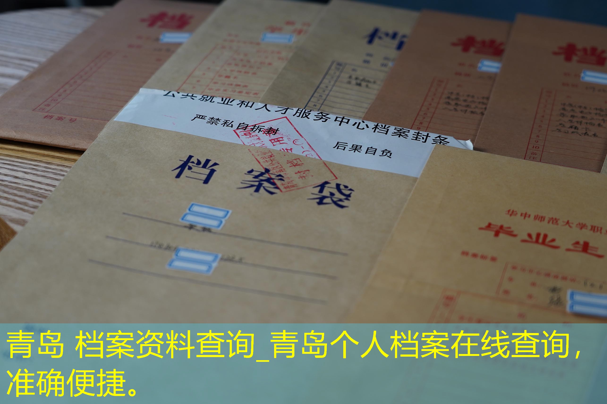 档案查询