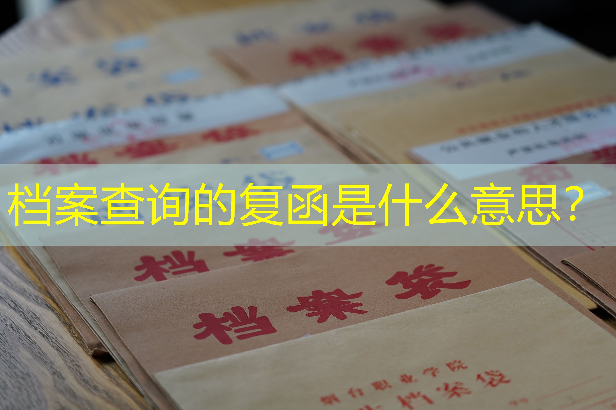 档案查询