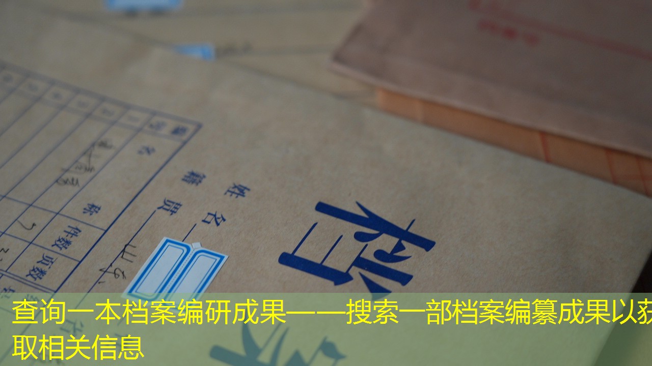 档案查询