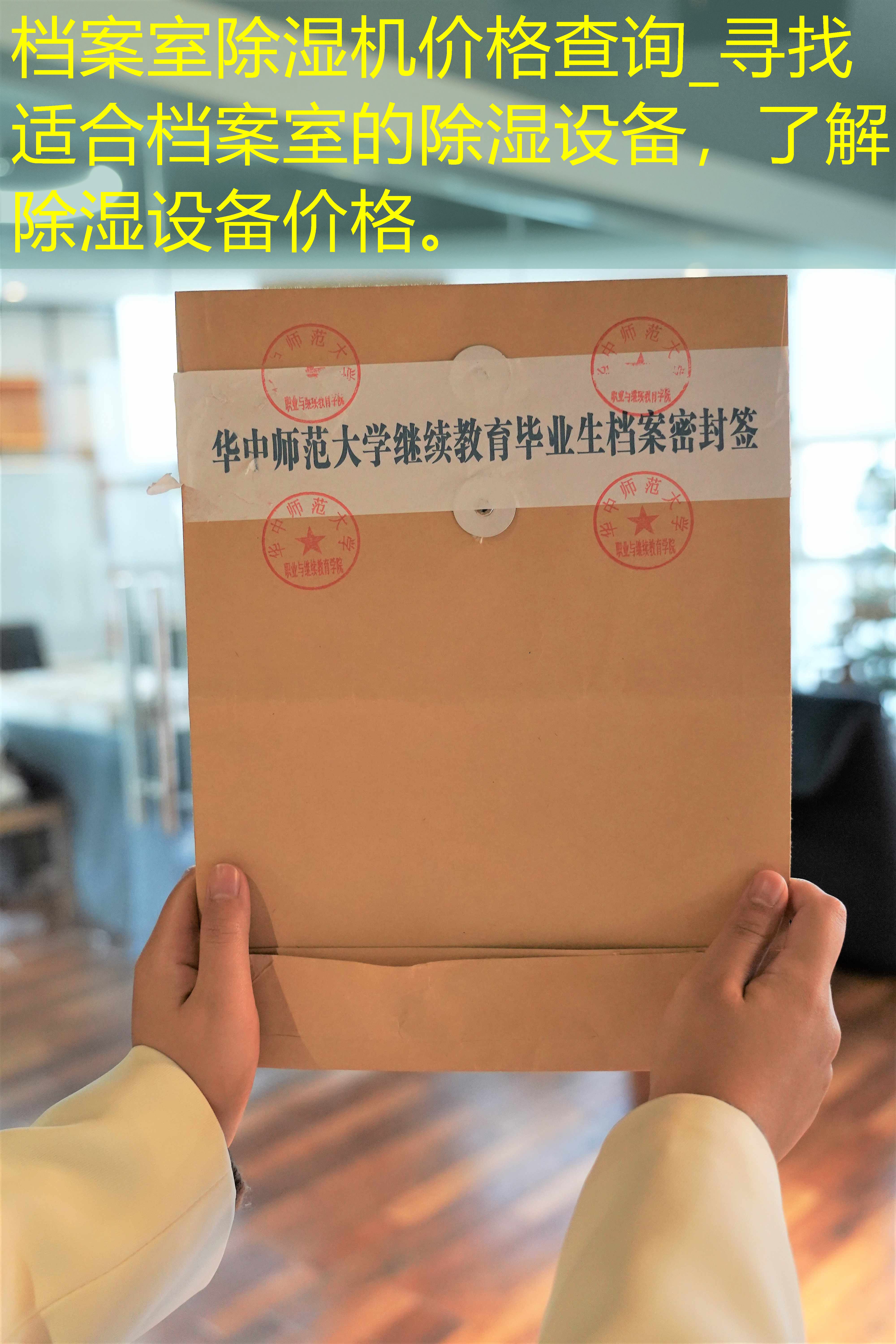 档案查询