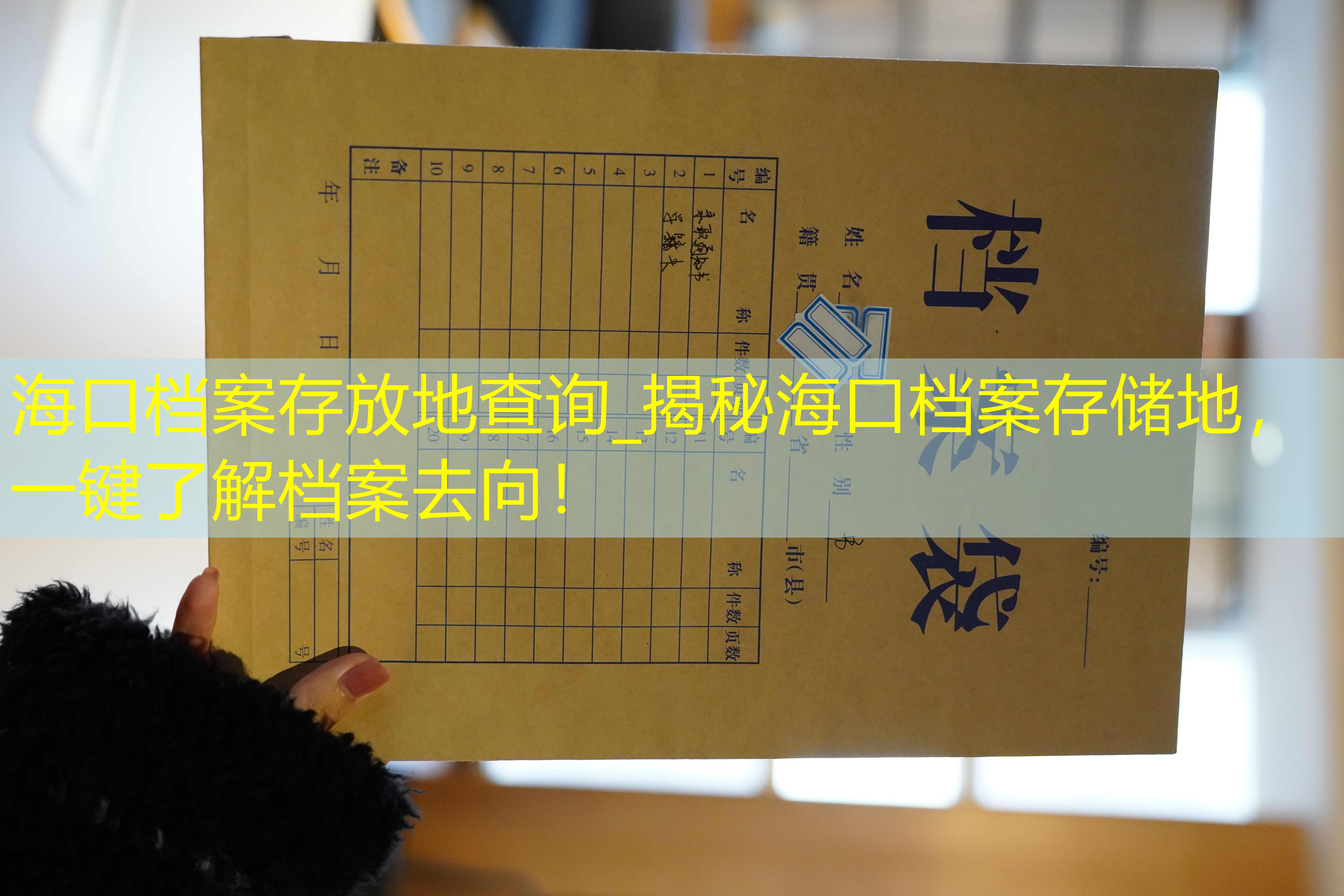 档案查询