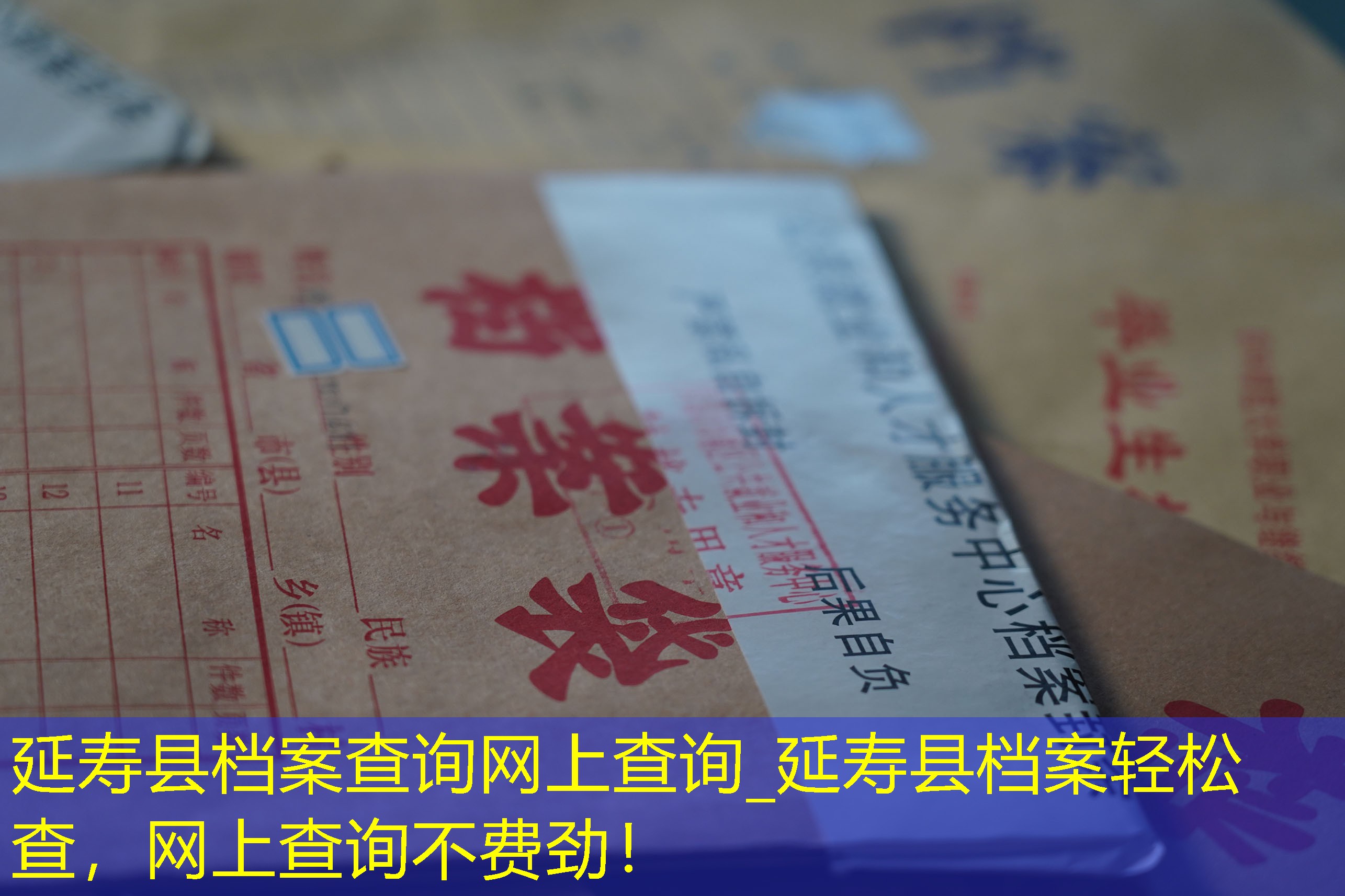 档案查询