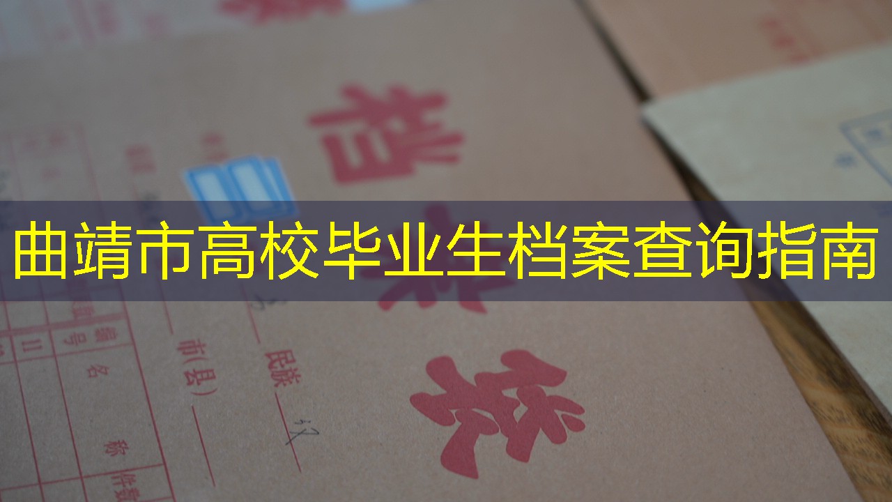 档案查询