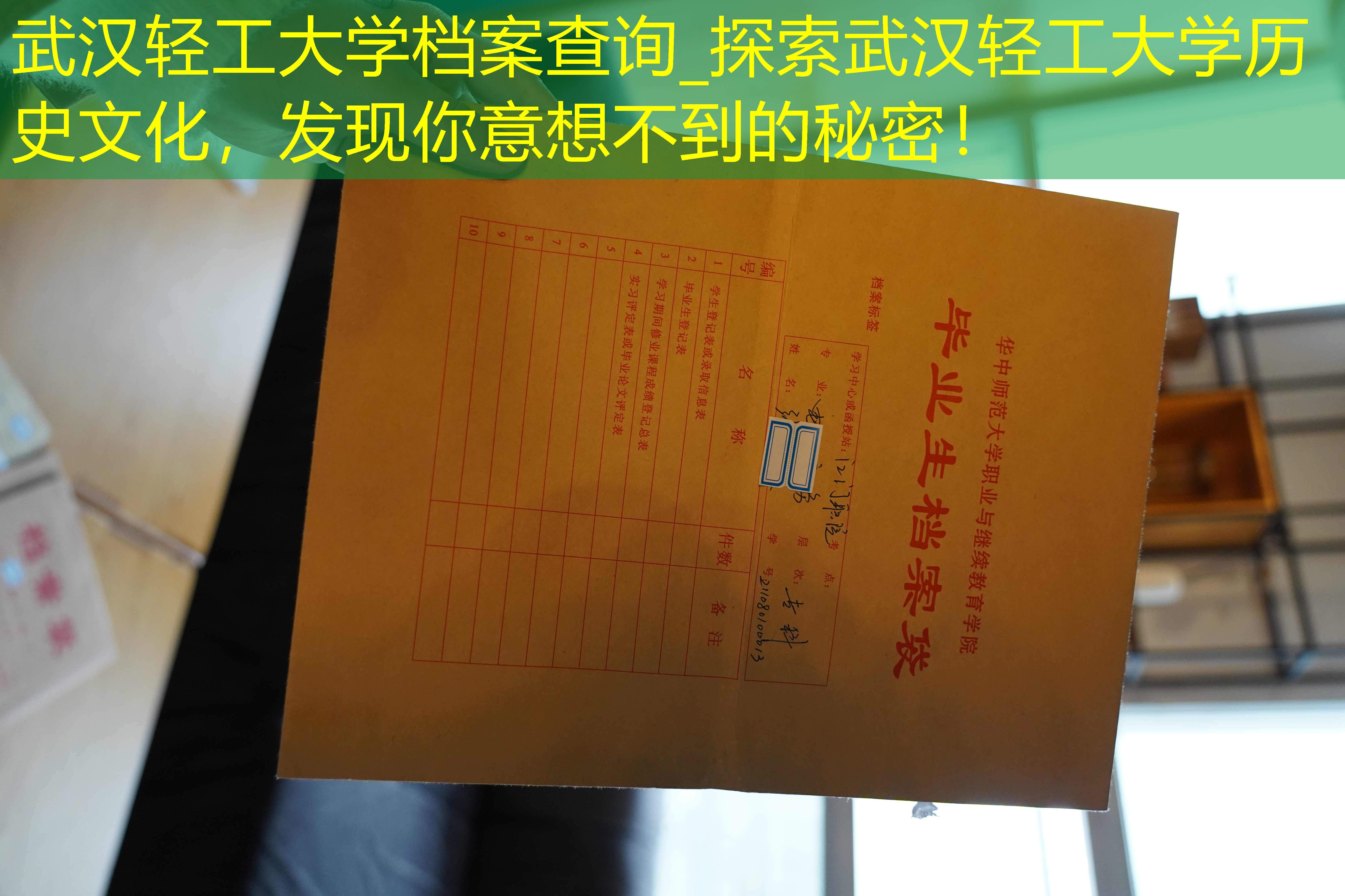 档案查询