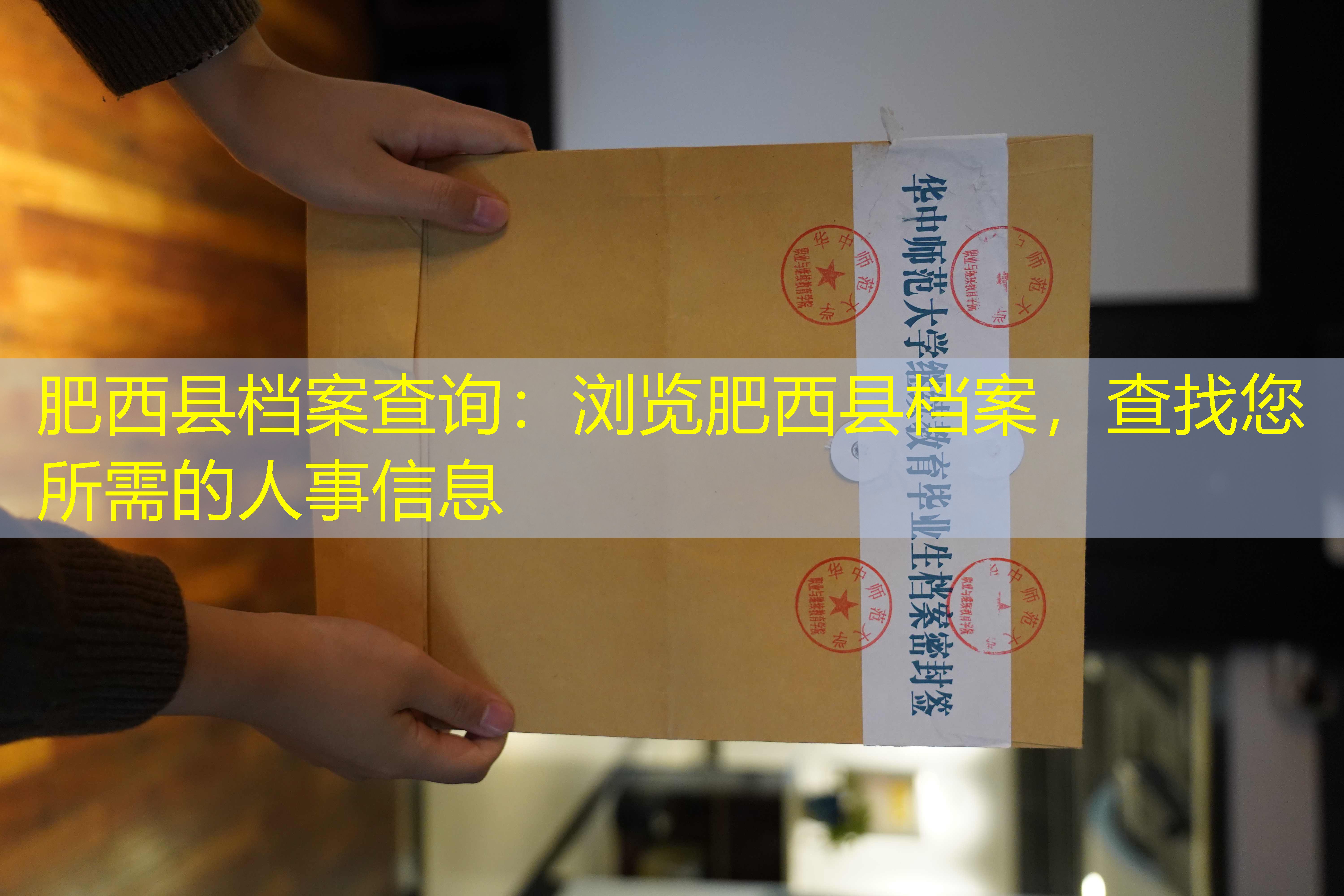 档案查询