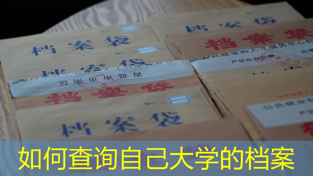 档案查询