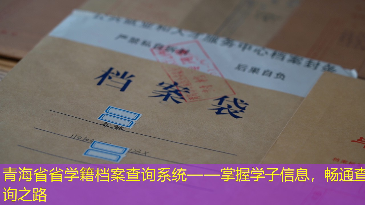 档案查询