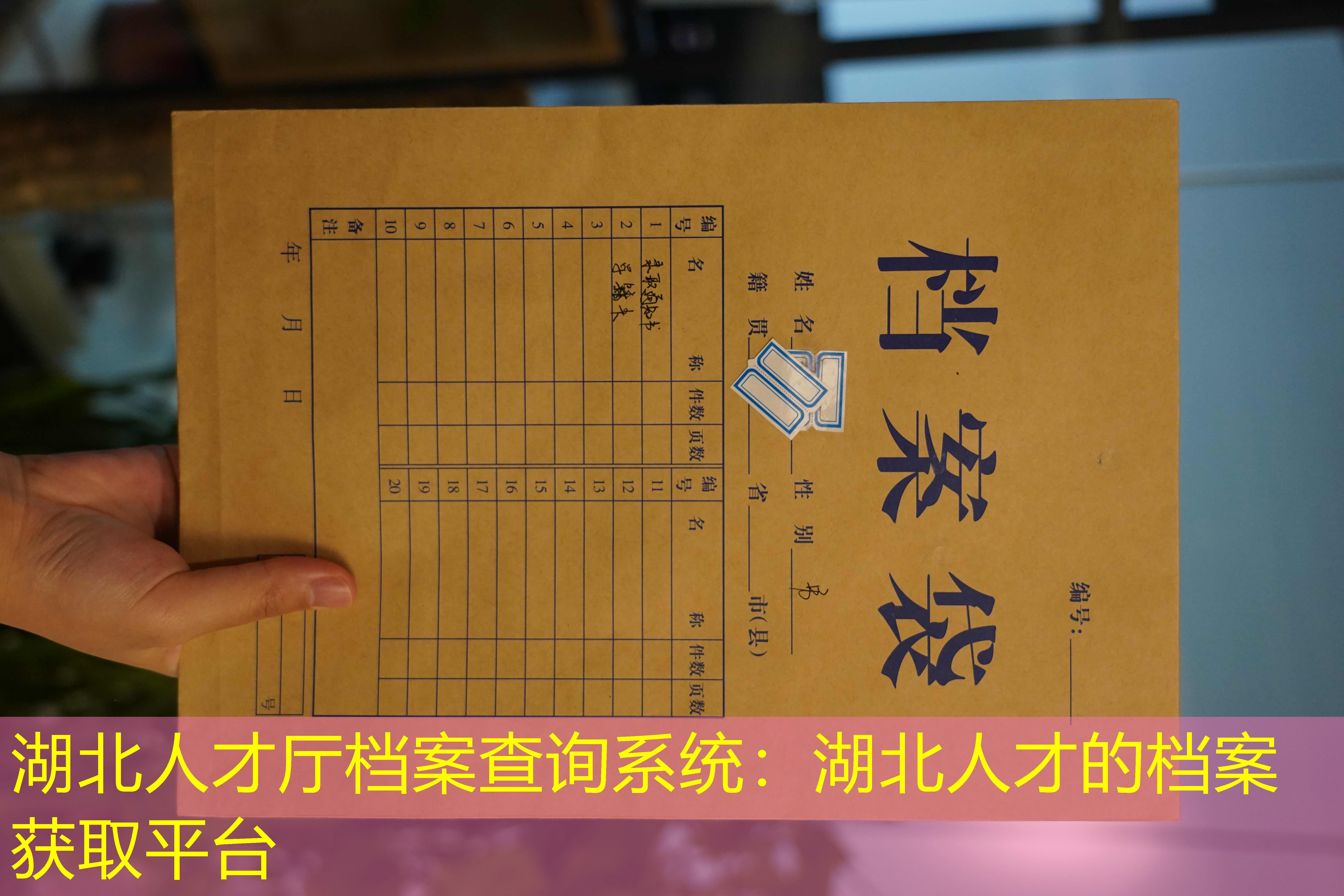 档案查询