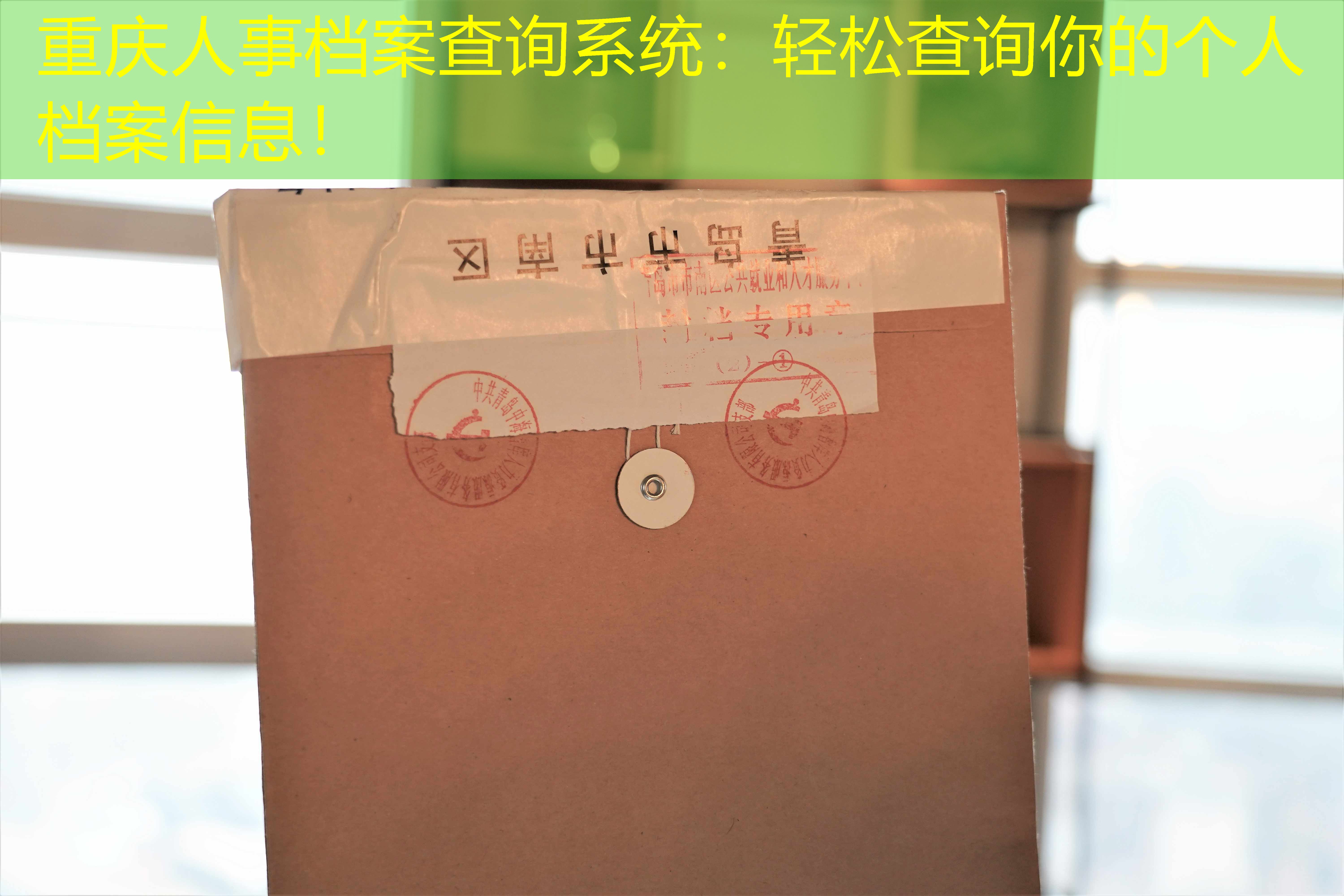 档案查询