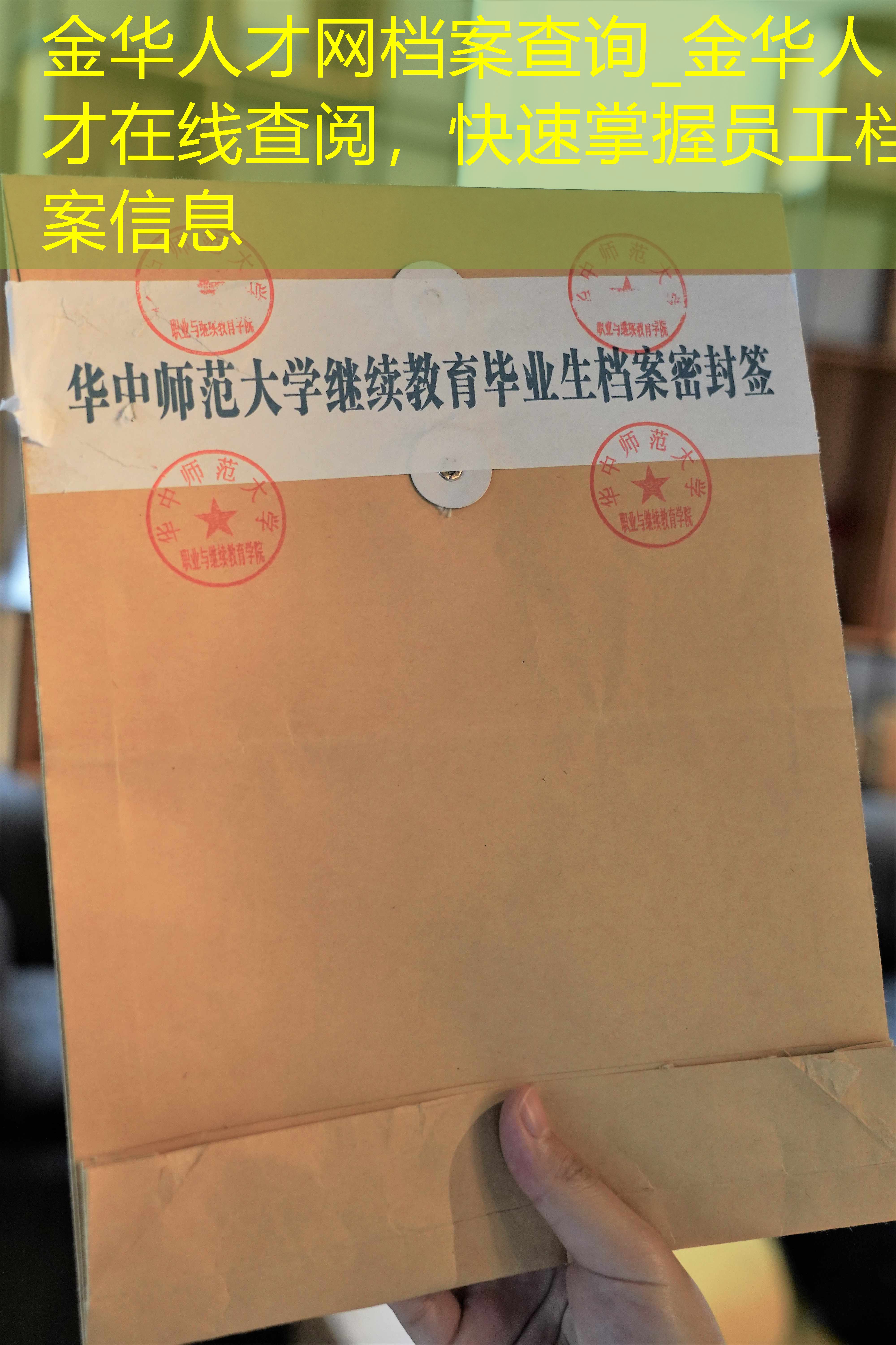 档案查询