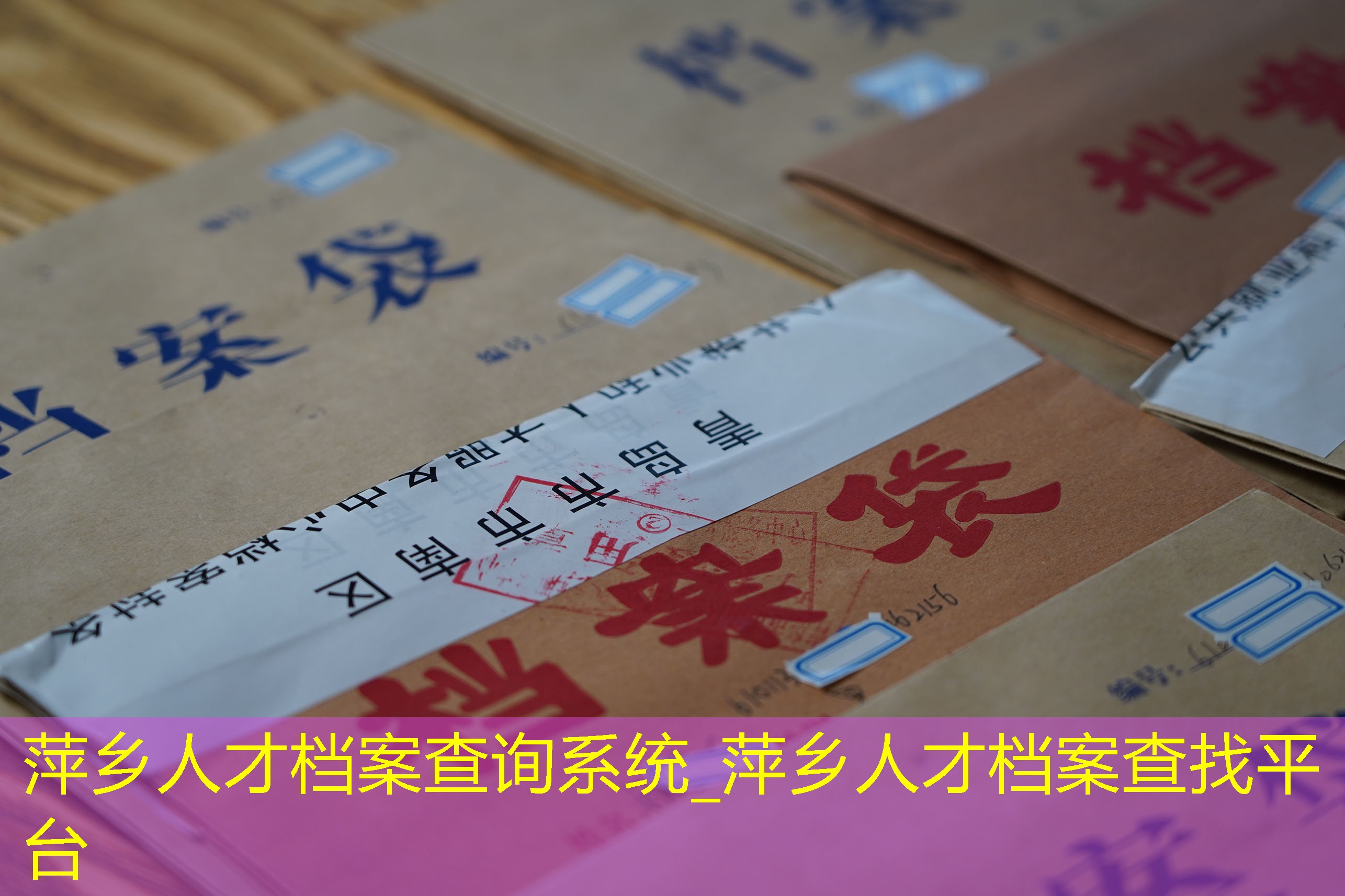 档案查询