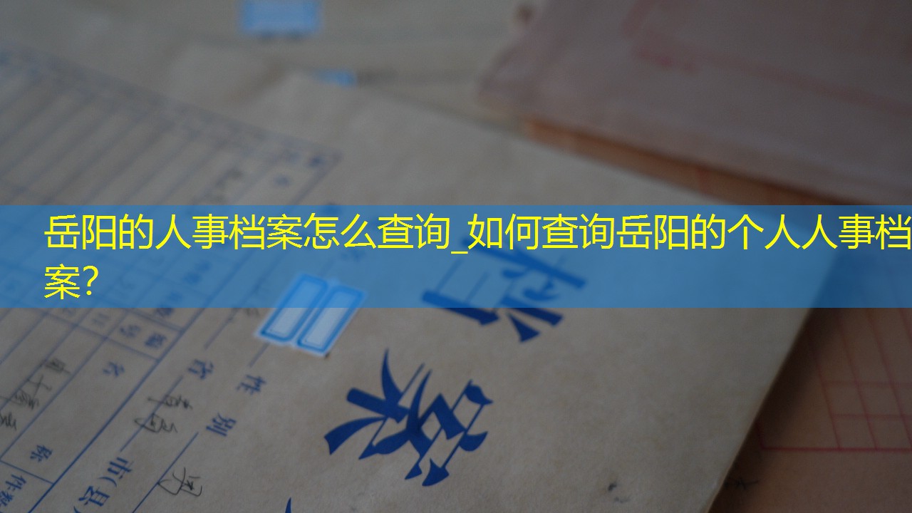 档案查询