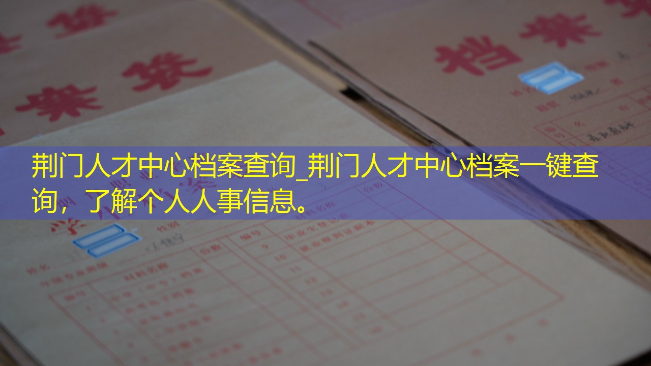档案查询