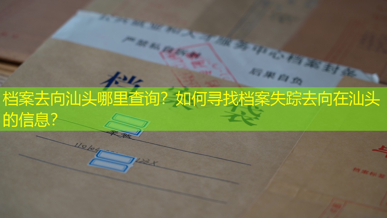 档案查询