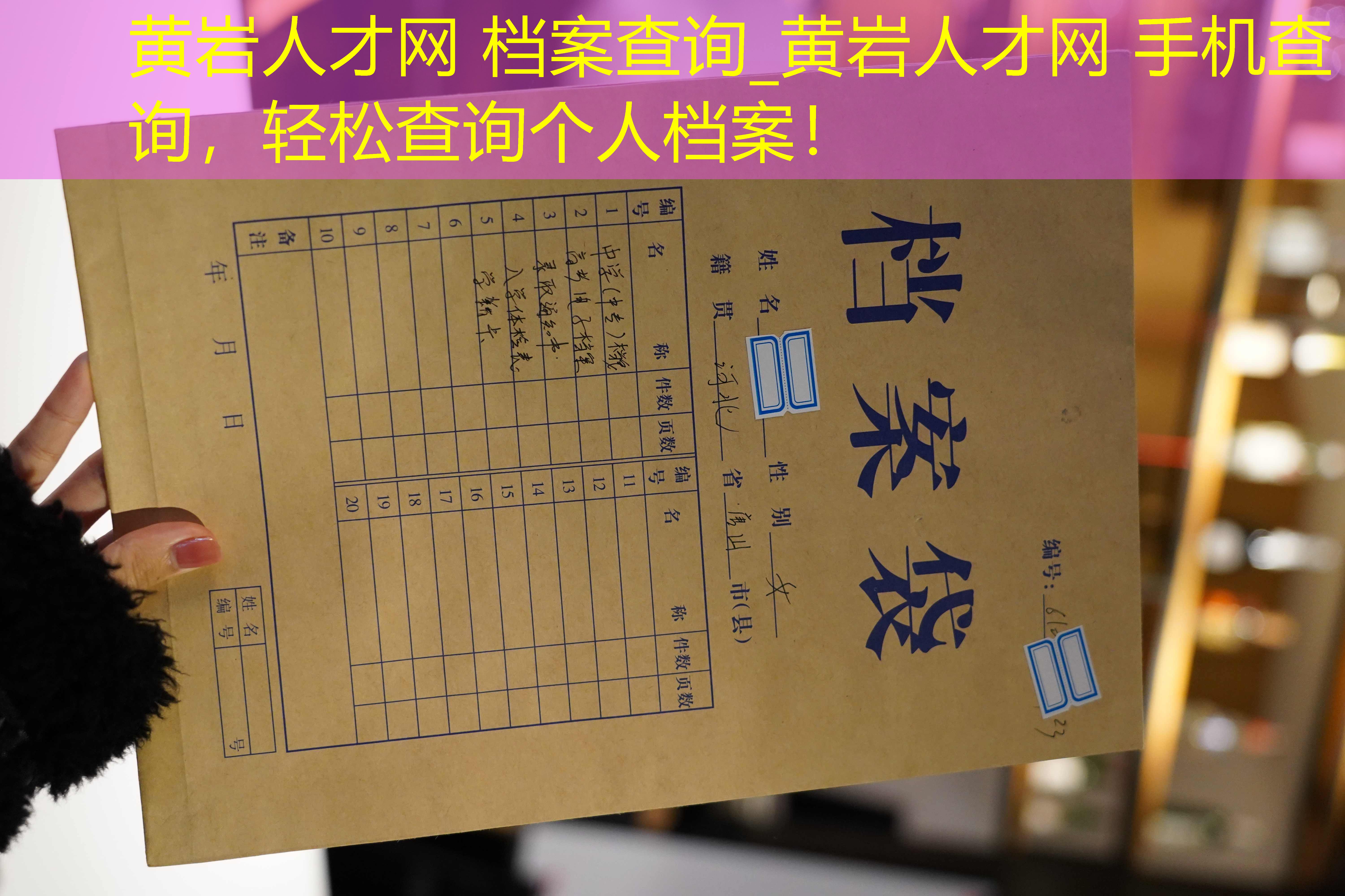 档案查询