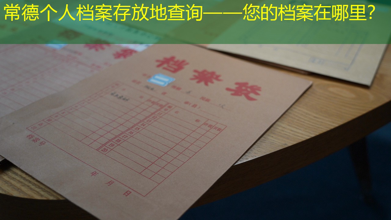 档案查询