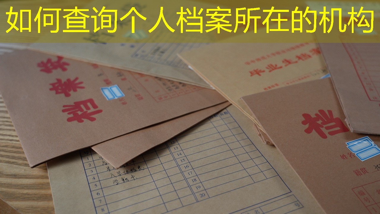 档案查询