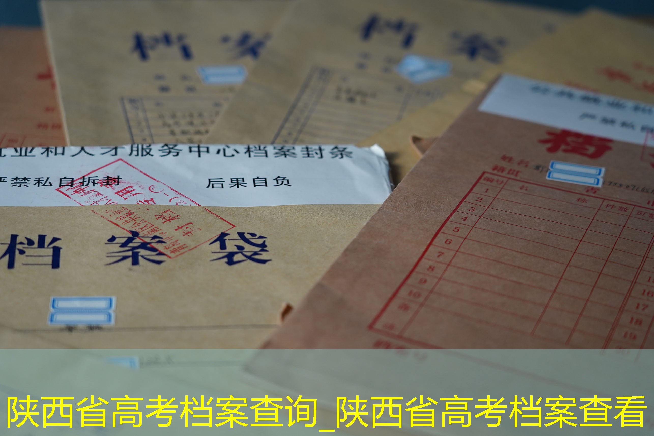 档案查询