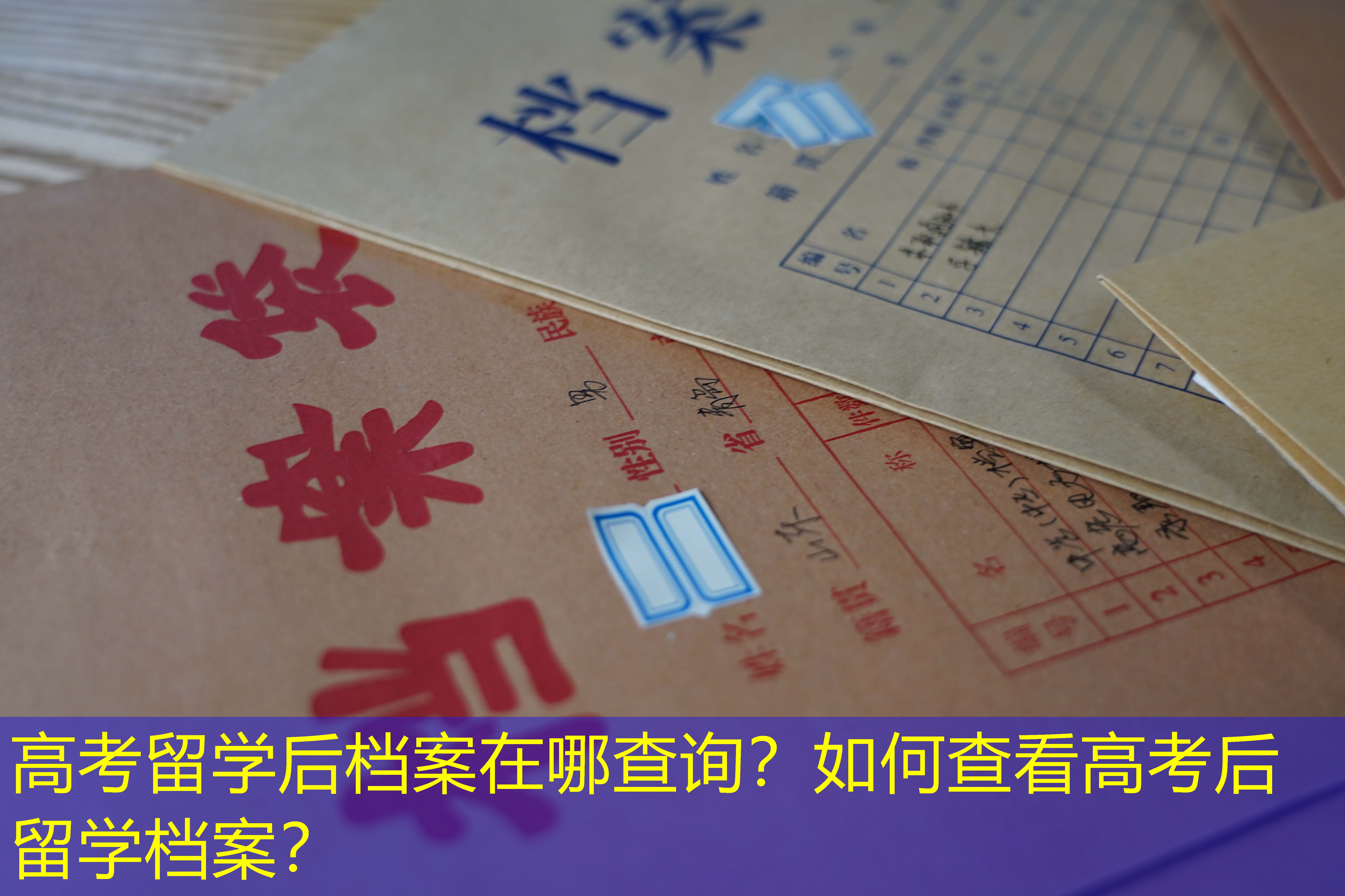 档案查询