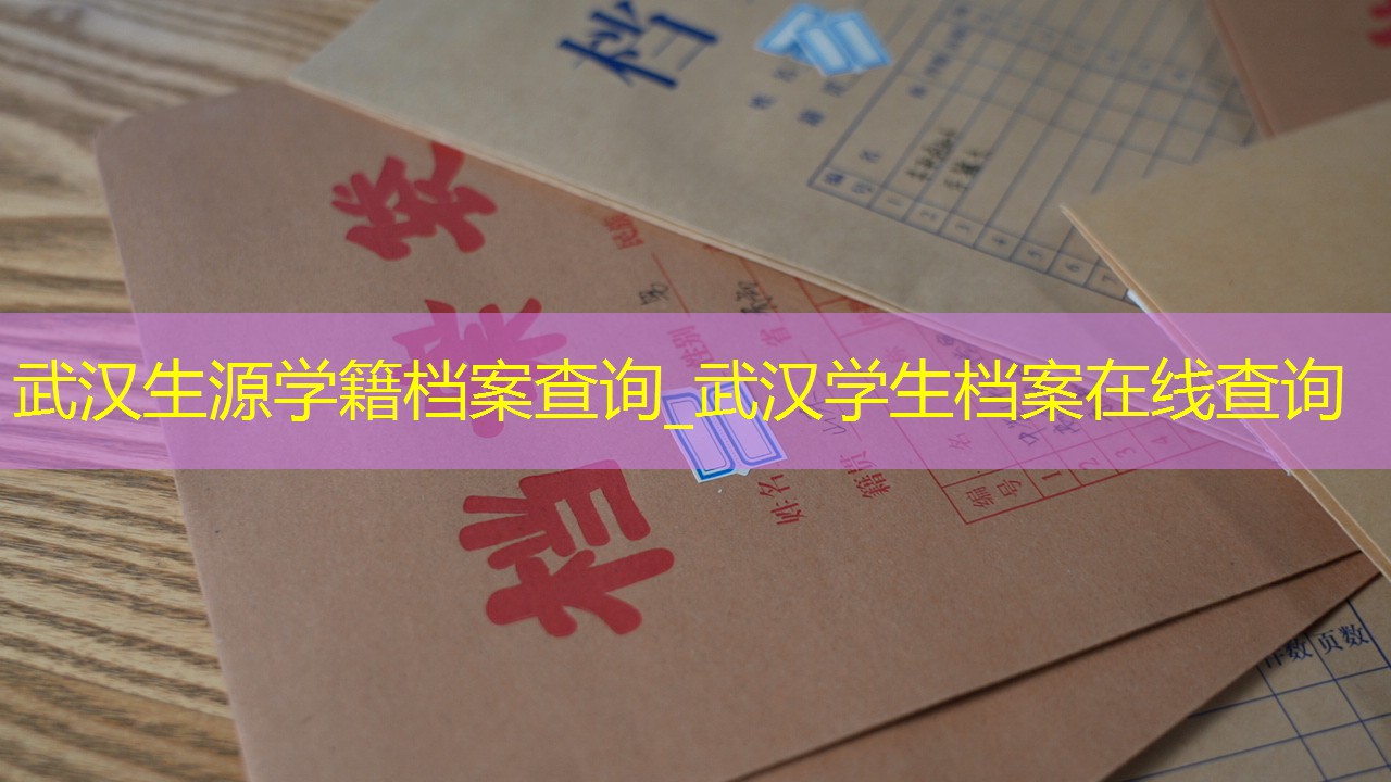 档案查询