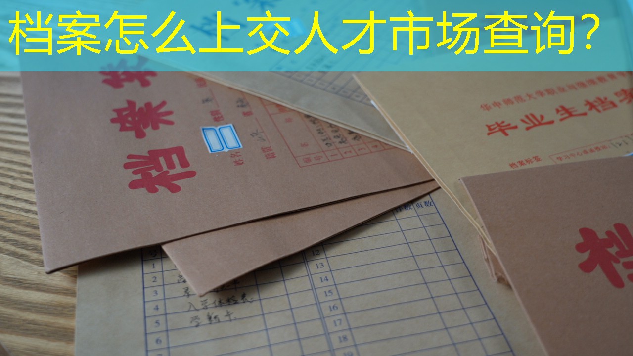 档案查询