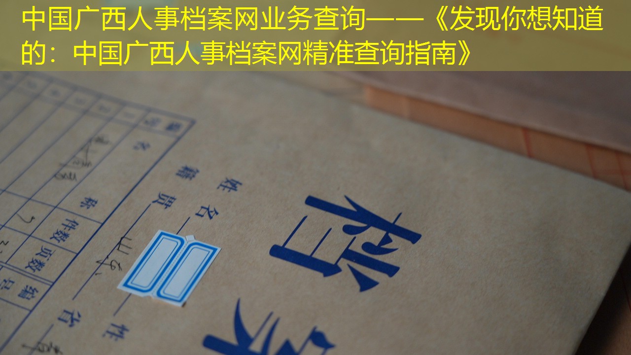 档案查询