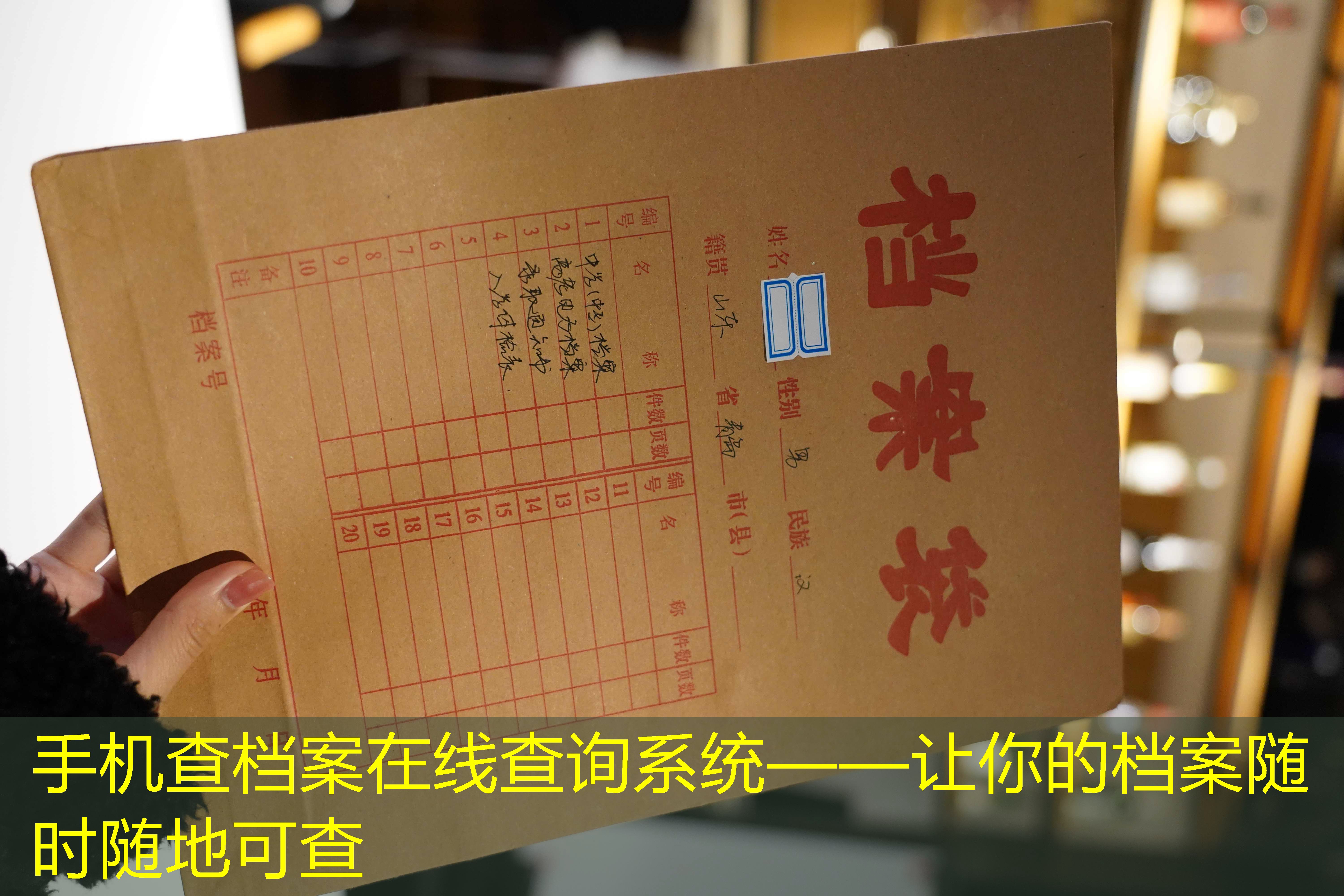 档案查询
