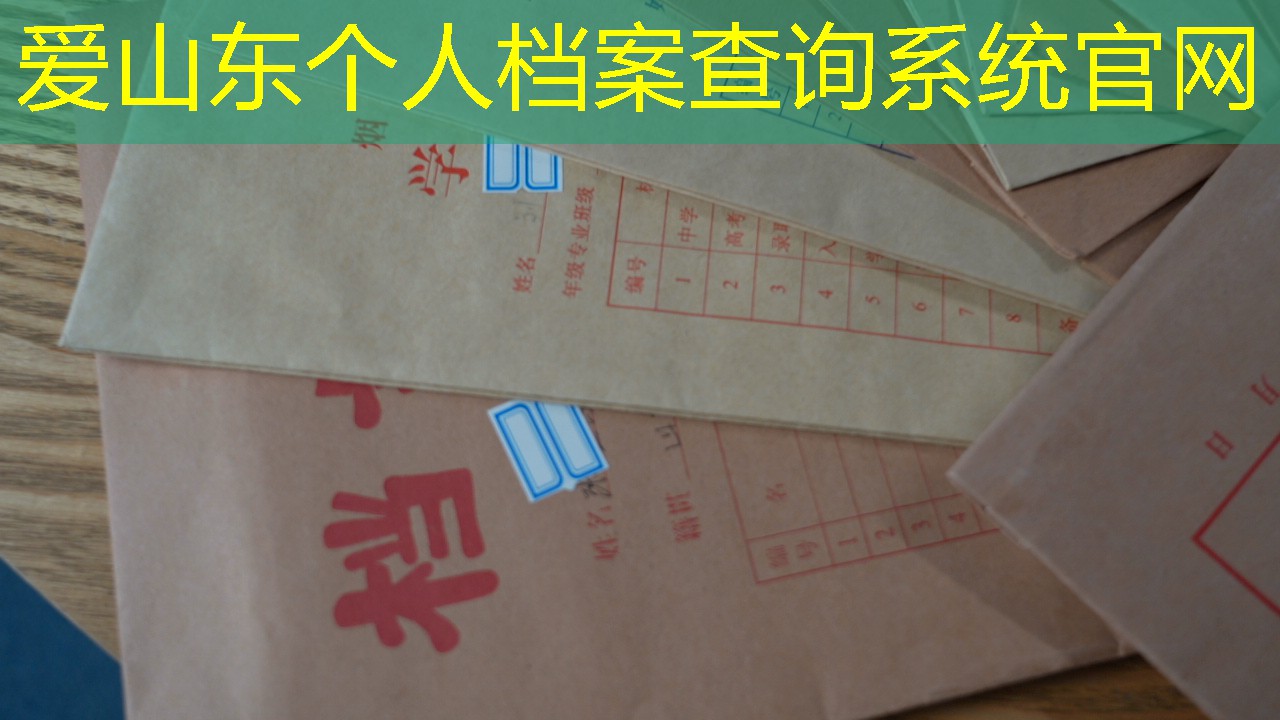档案查询