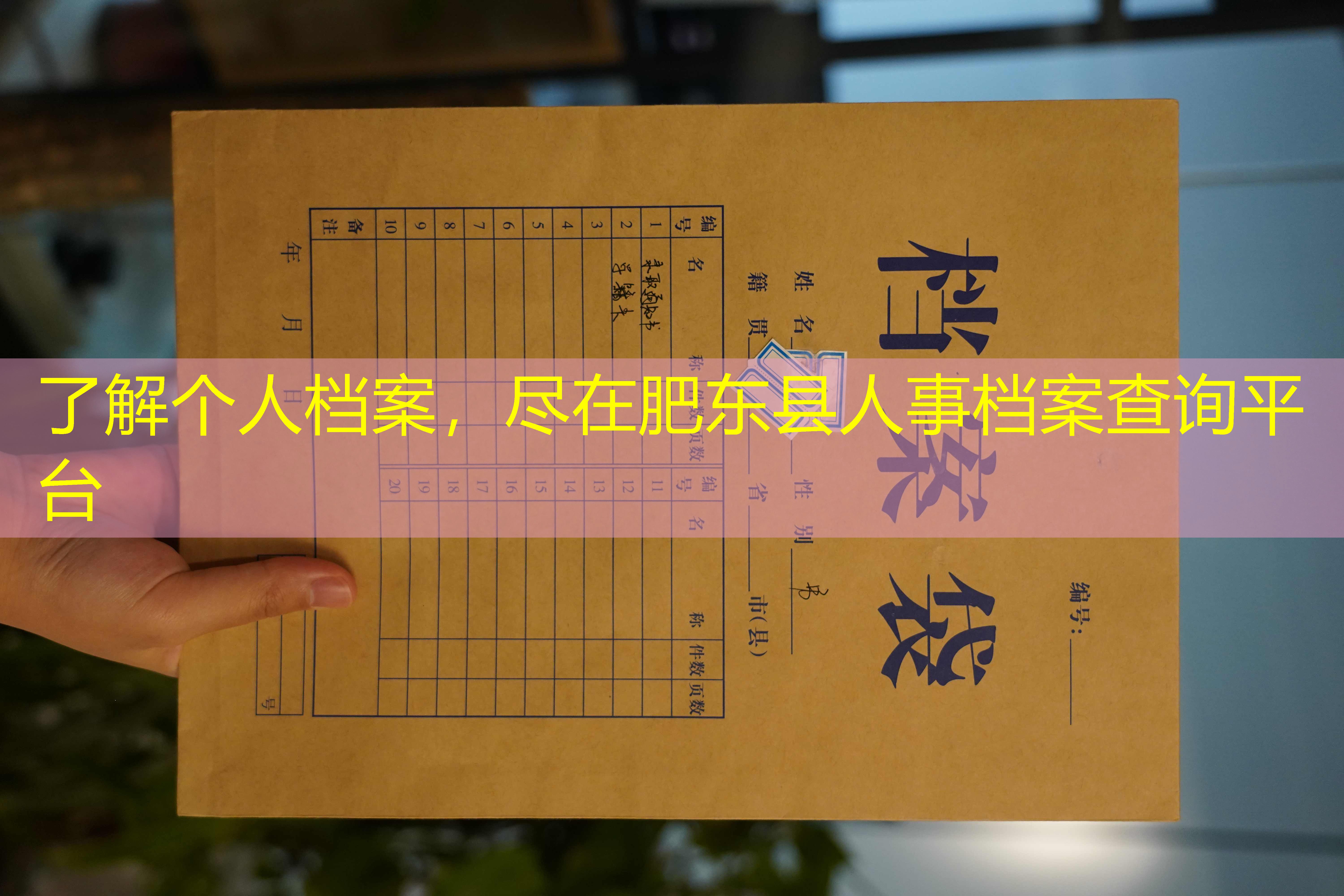档案查询