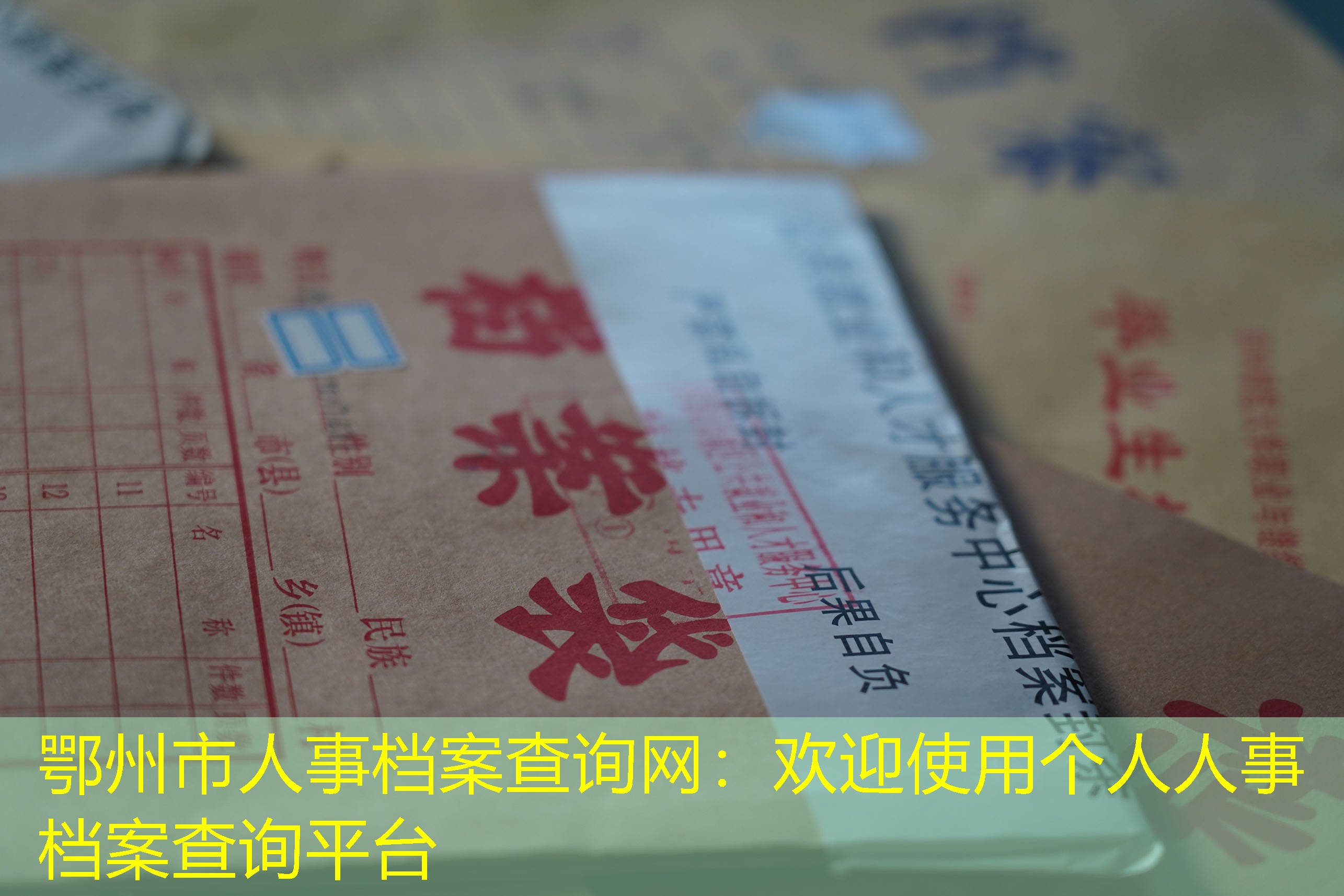 档案查询