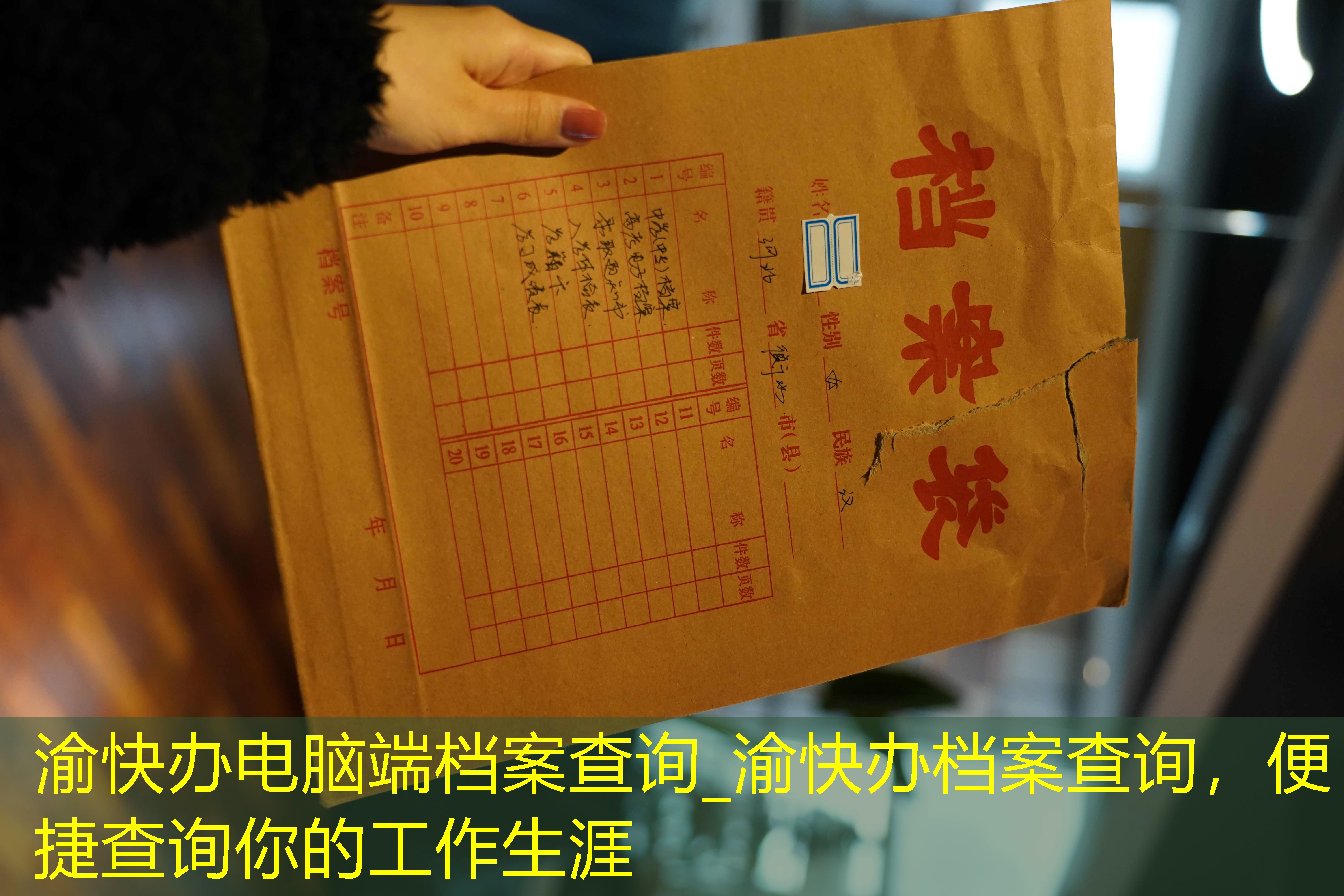 档案查询