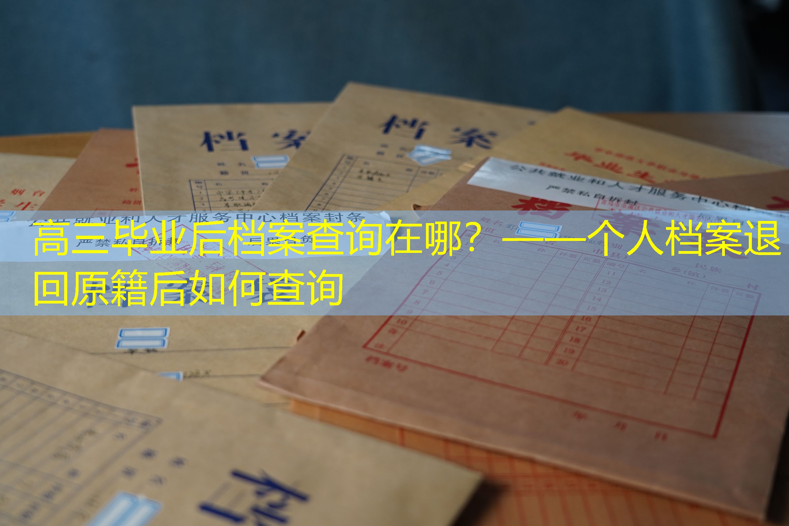 档案查询