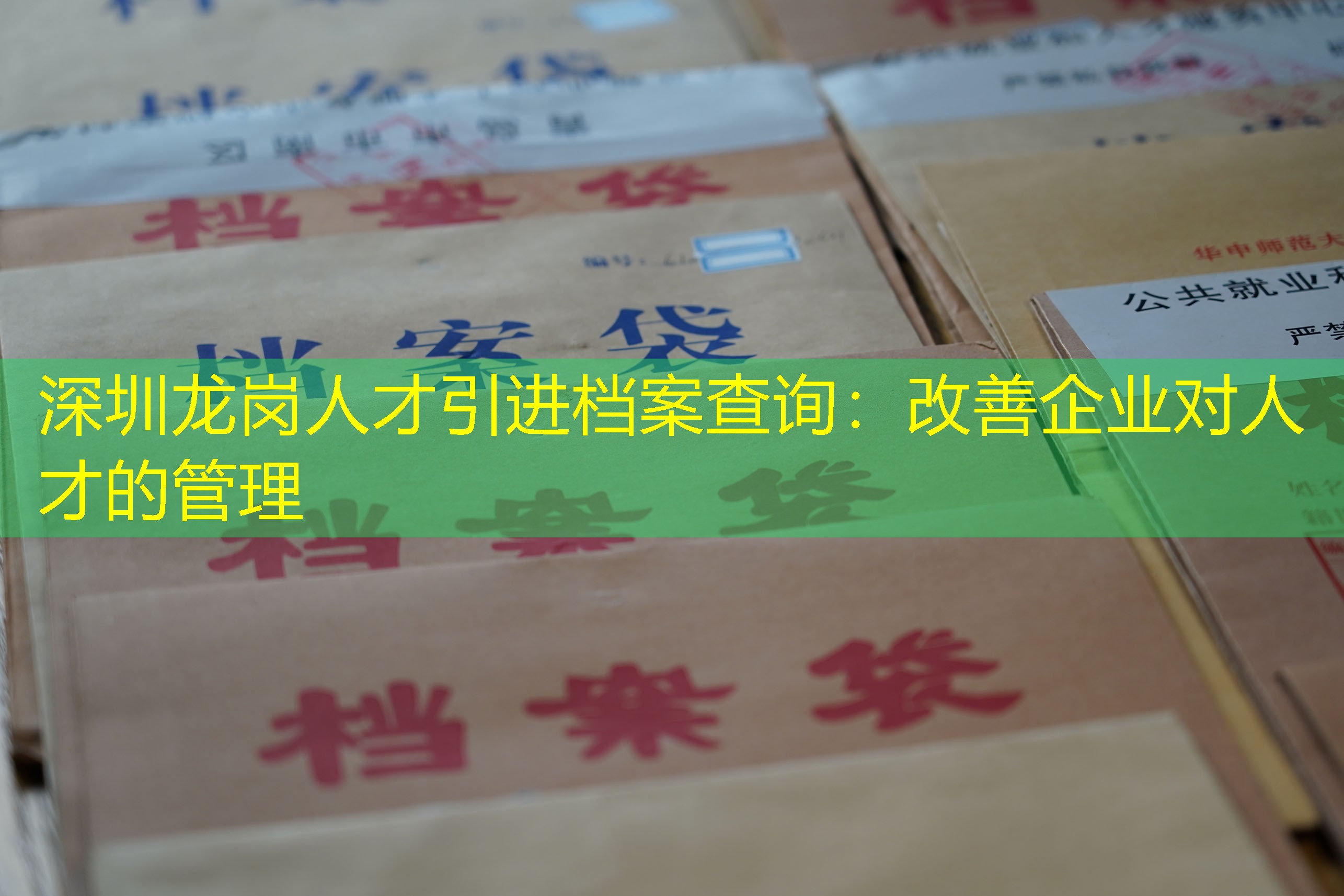 档案查询