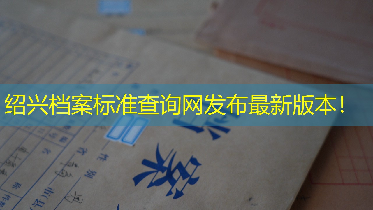 档案查询