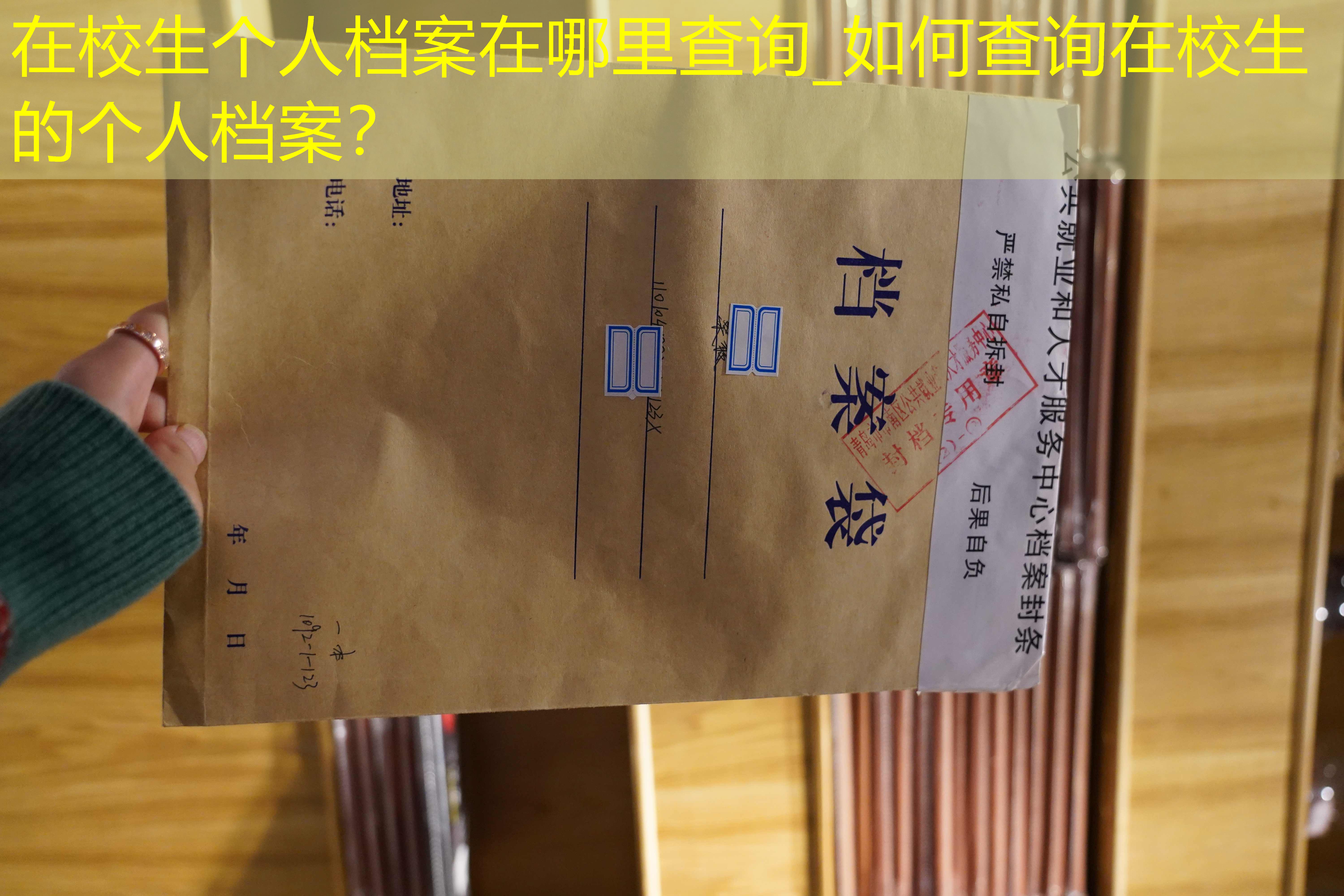 档案查询