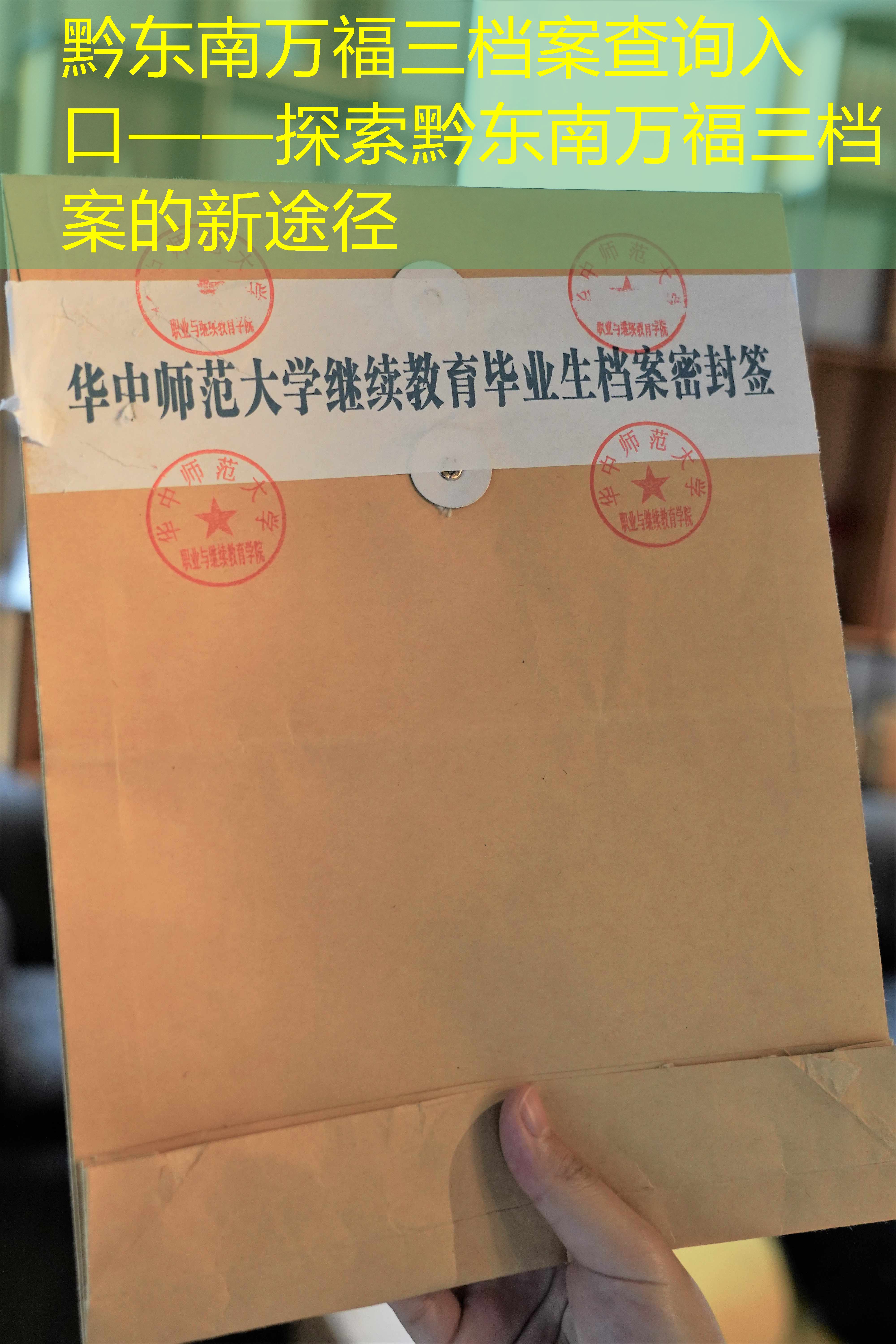 档案查询