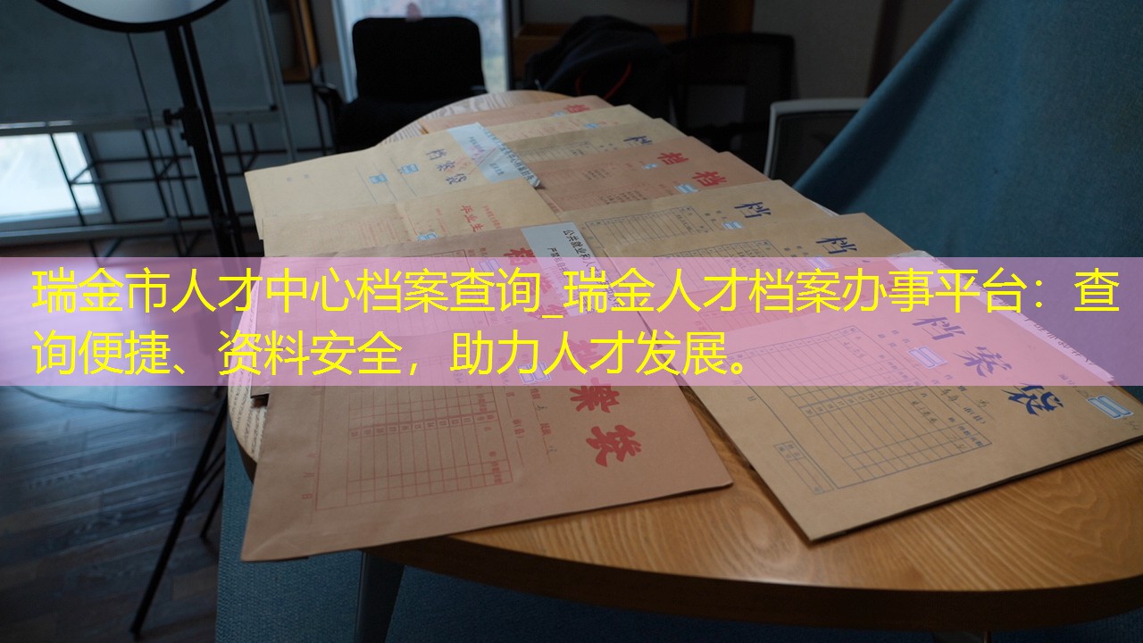 档案查询