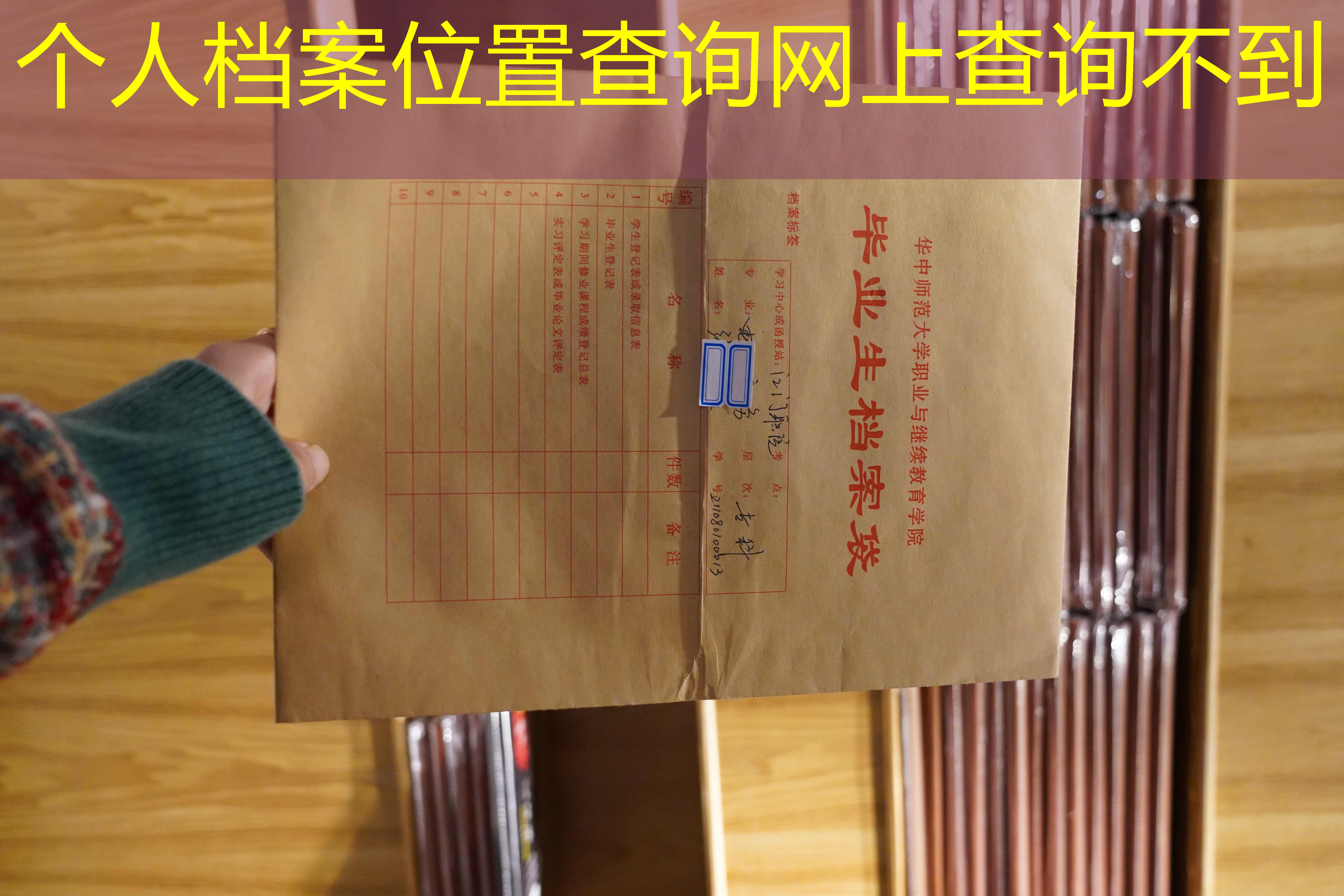 档案查询