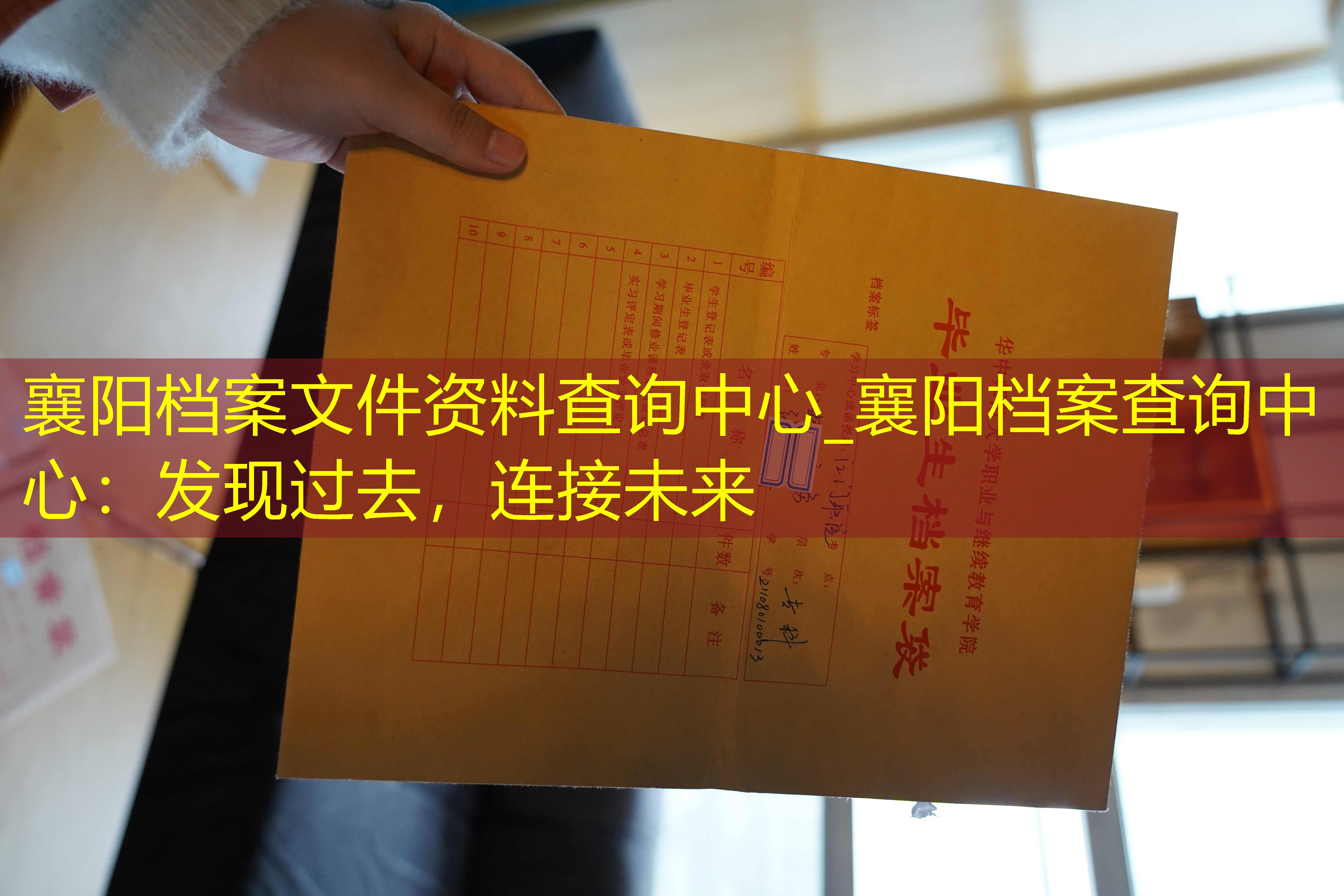 档案查询
